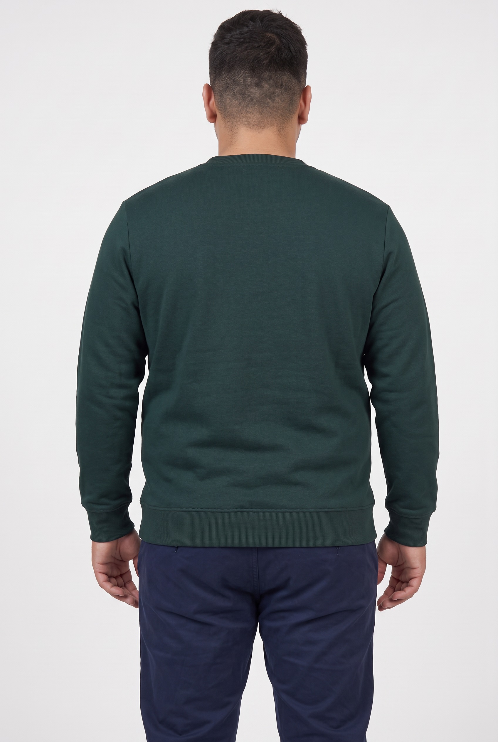 Jack & Jones PlusSize Sweatshirt »JJAERO SWEAT CREW NECK PLS«, Baumwollmischung, regular fit
