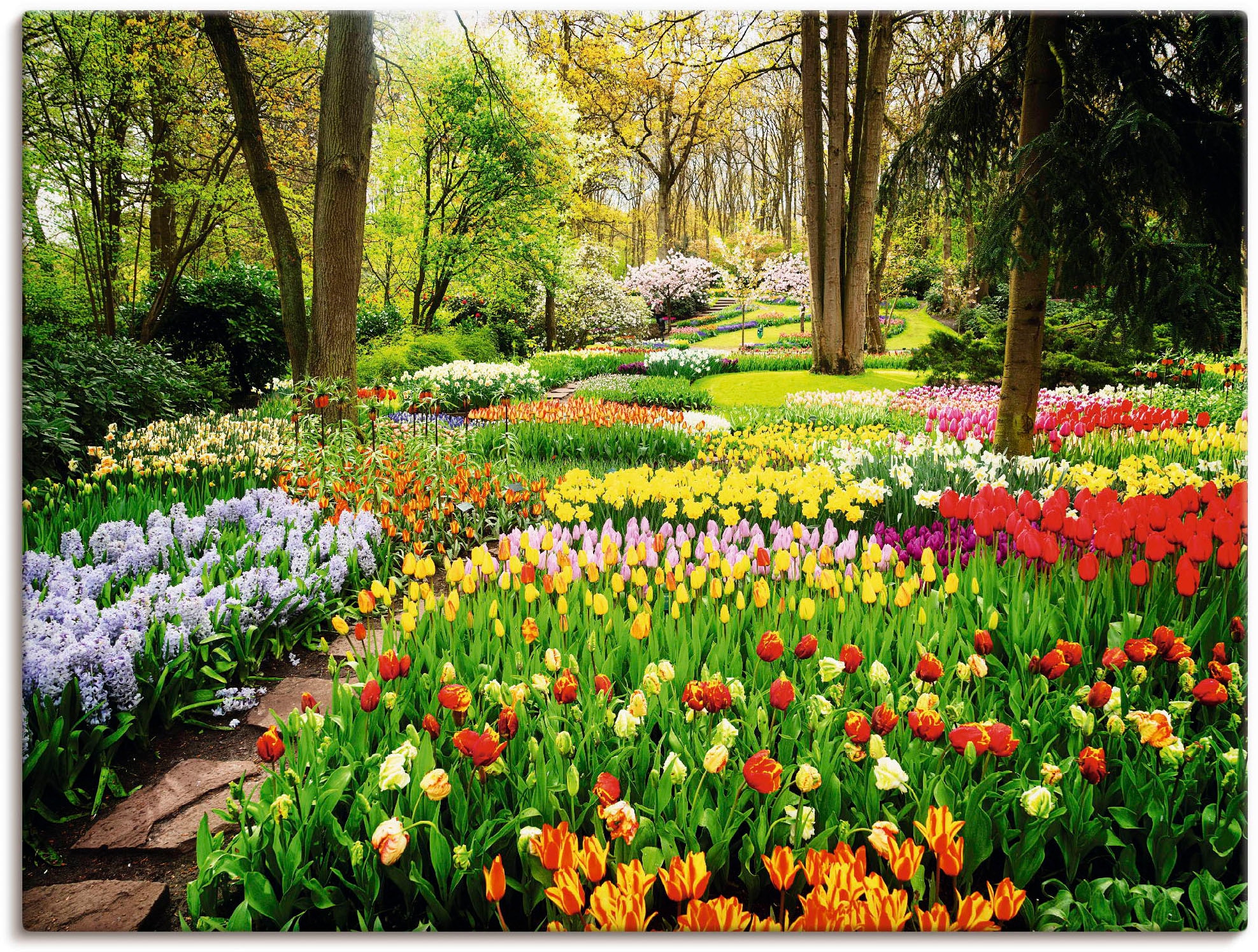 Artland Wandbild »Tulpen Garten Frühling«, Blumenwiese, (1 St.), als Alubild, Outdoorbild, Leinwandbild, Poster, Wandaufkleber