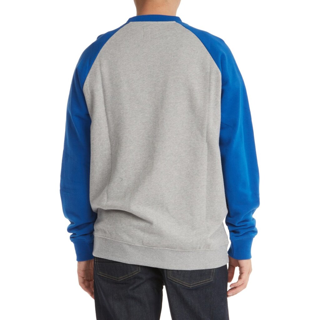 DC Shoes Sweatshirt »DC Star Pilot«