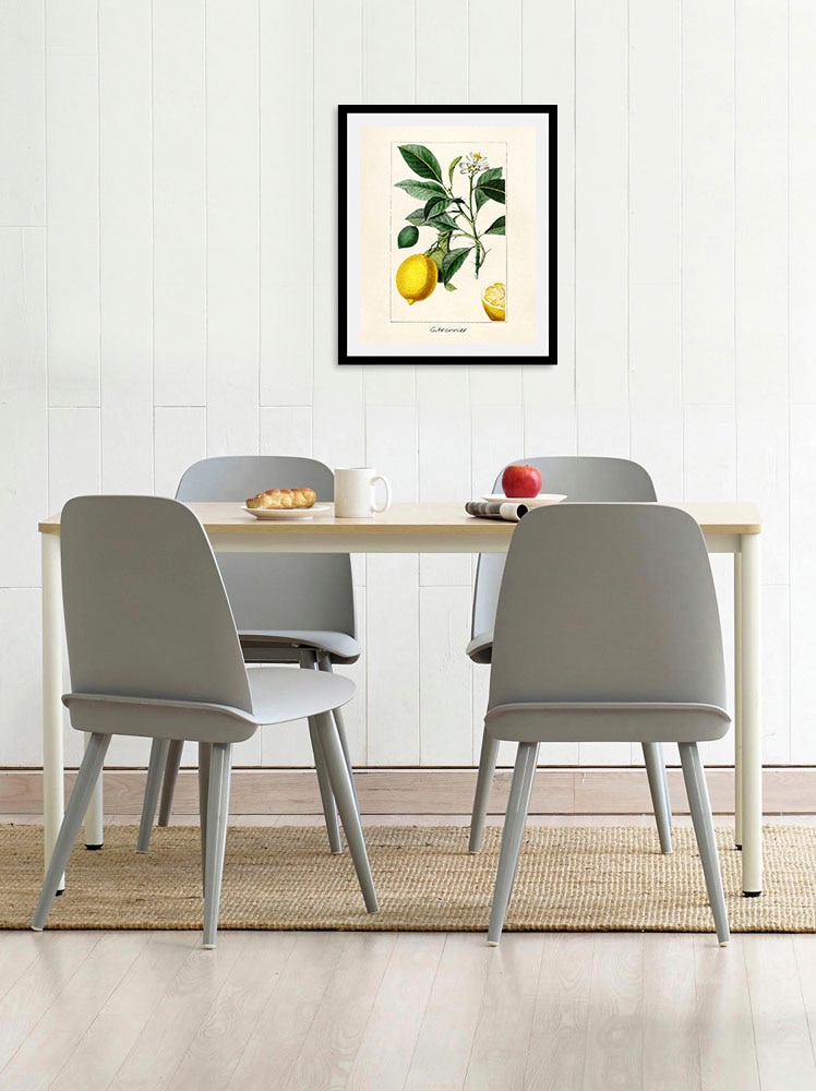 queence Bild »Citronnier«, Obst-Obst Bilder-Essen-Lebensmittel-Kunst-Schriftzug-Italien-Spanien, (1 St.), HD Premium Poster-Druck inkl. Holzrahmen