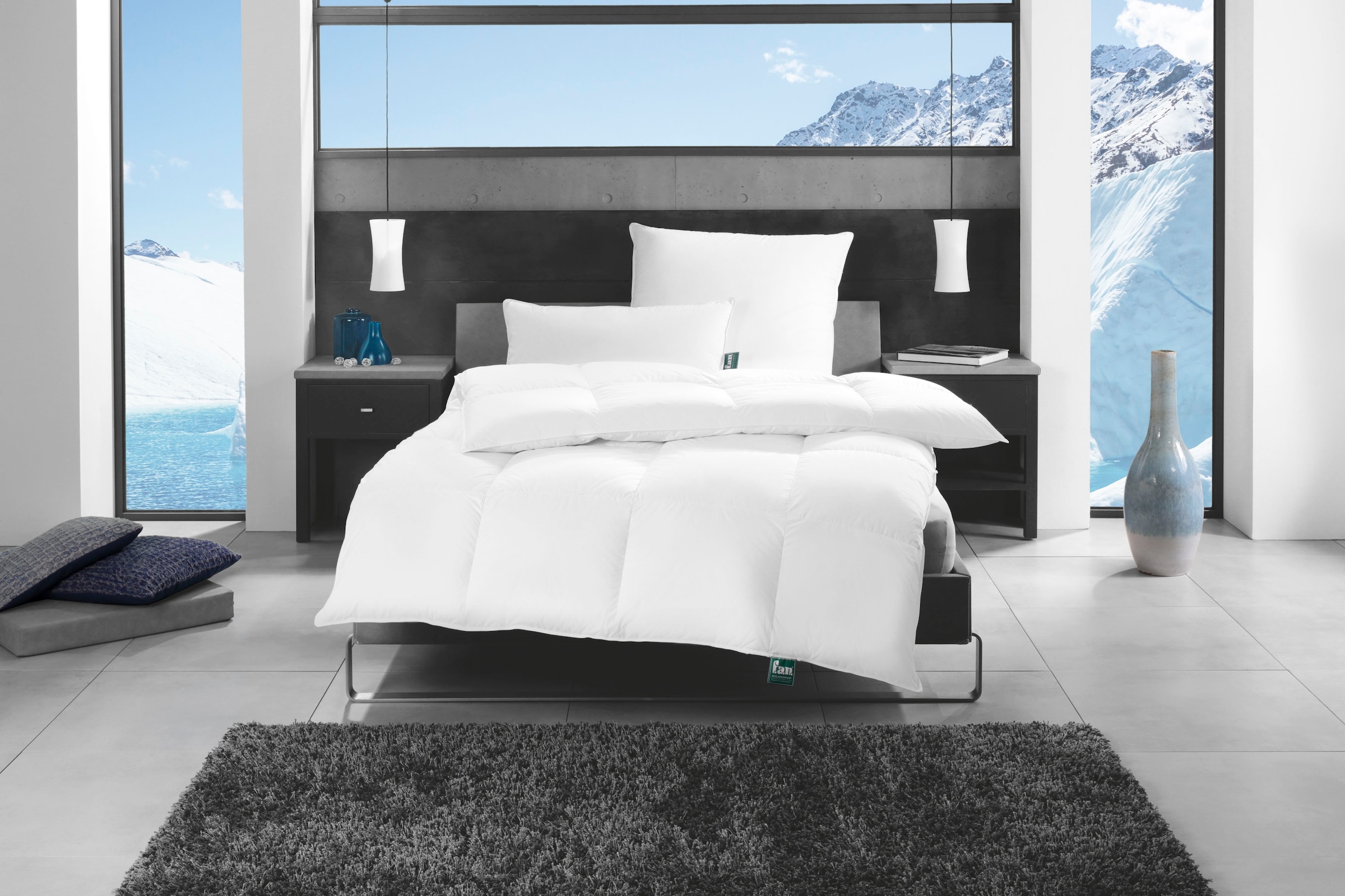 »f.a.n. f.a.n. kaufen Alaska«, Gänsedaunenbettdecke warm, online (1 St.) Schlafkomfort
