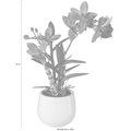 Creativ green Kunstpflanze, (1 St.), Japanorchidee im Keramiktopf, Real Touch