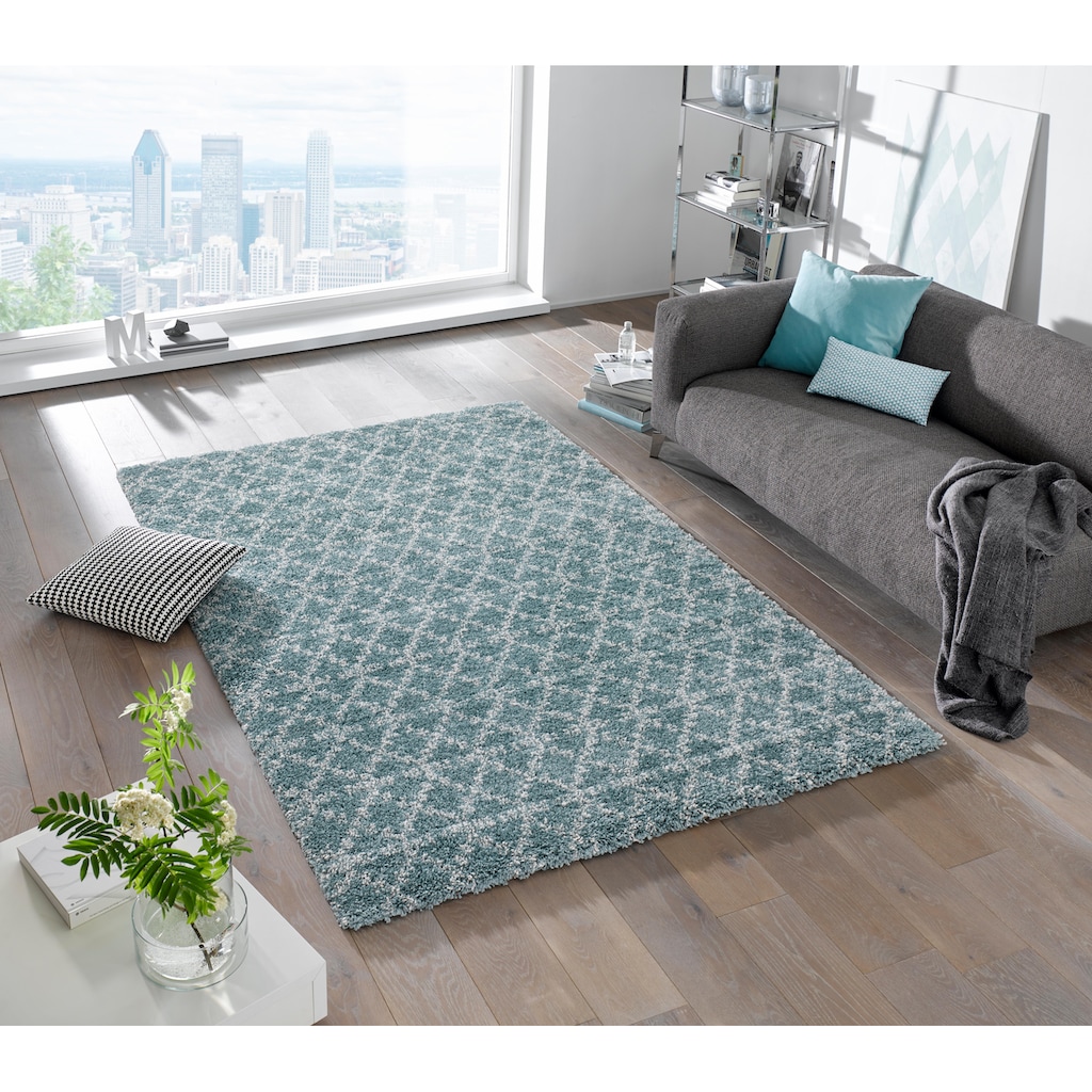 HANSE Home Hochflor-Teppich »Cameo«, rechteckig