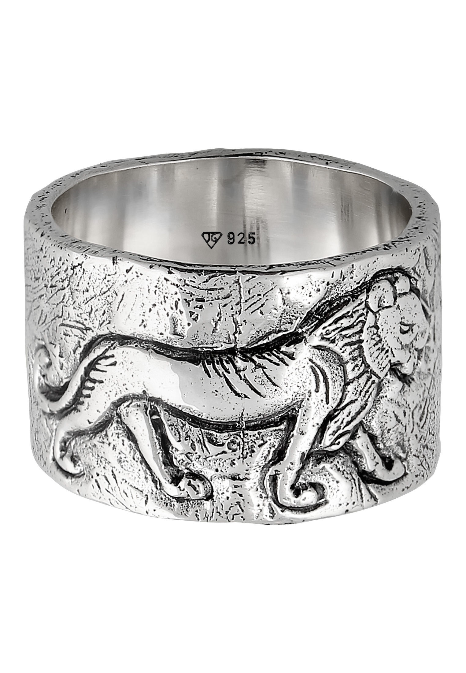 HAZE & GLORY Siegelring »Ring Bandring - Lions Eye 925 Silber«