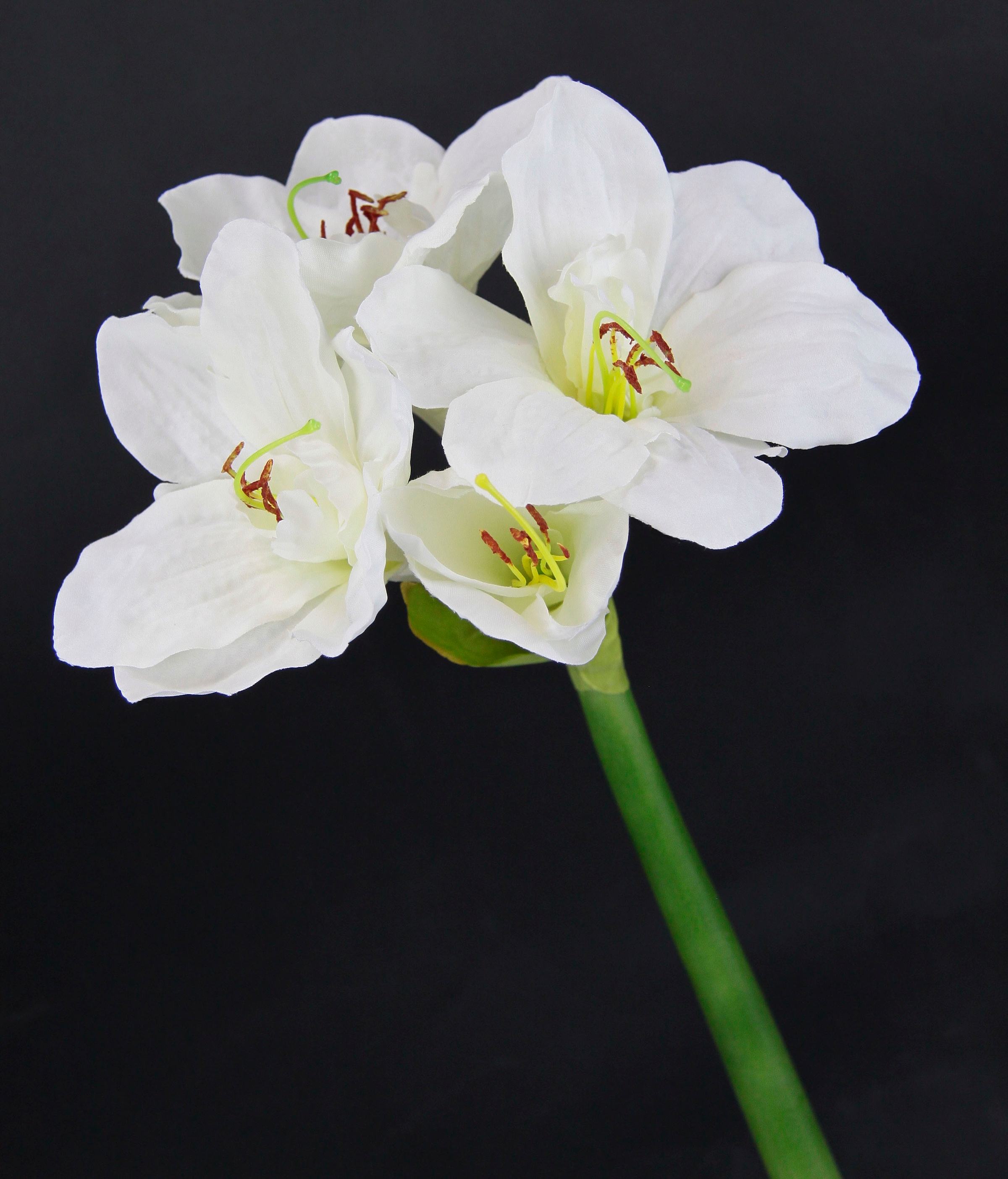I.GE.A. Kunstblume »Amaryllis« Kunst-Stielblume, 3er Set