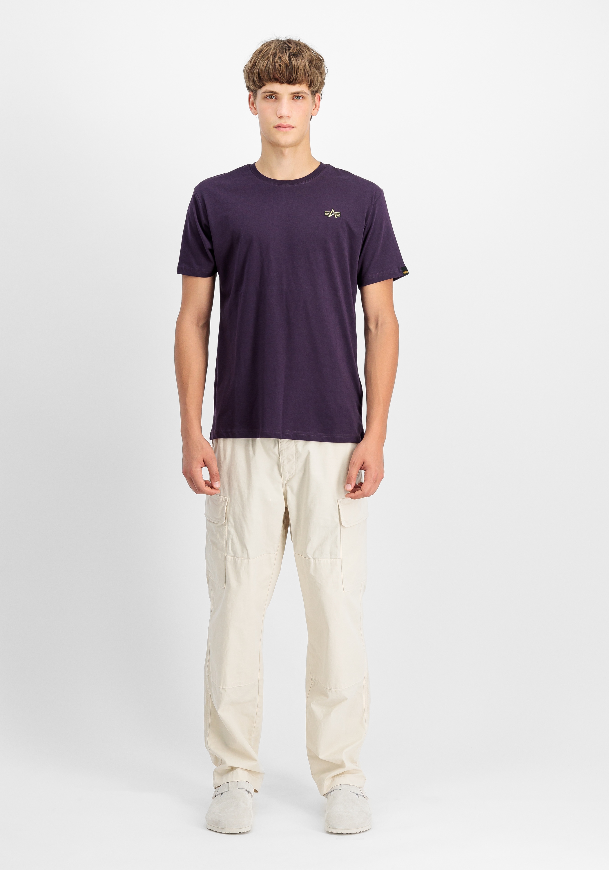 Alpha Industries T-Shirt »Alpha Industries Men - T-Shirts 3D Small Logo T«