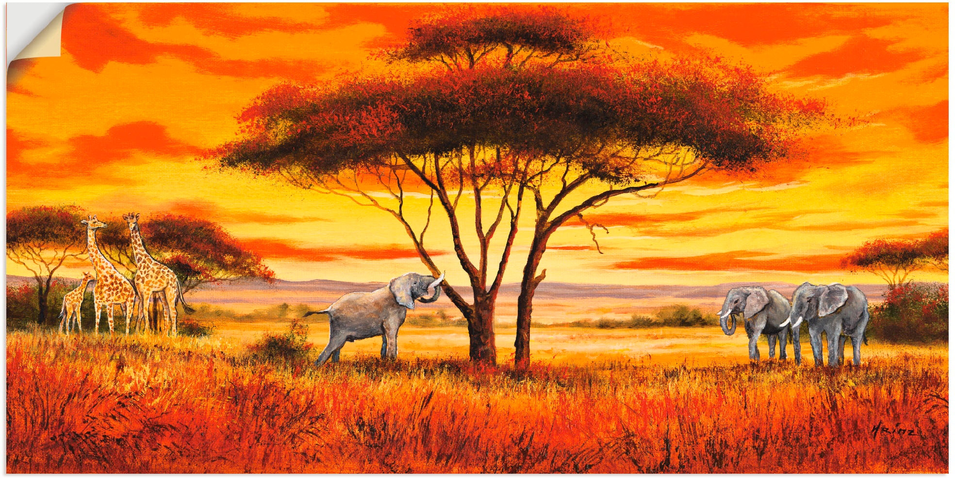 Artland Wandbild »Afrikanische Landschaft II«, Afrika, (1 St.), als Alubild,... kaufen