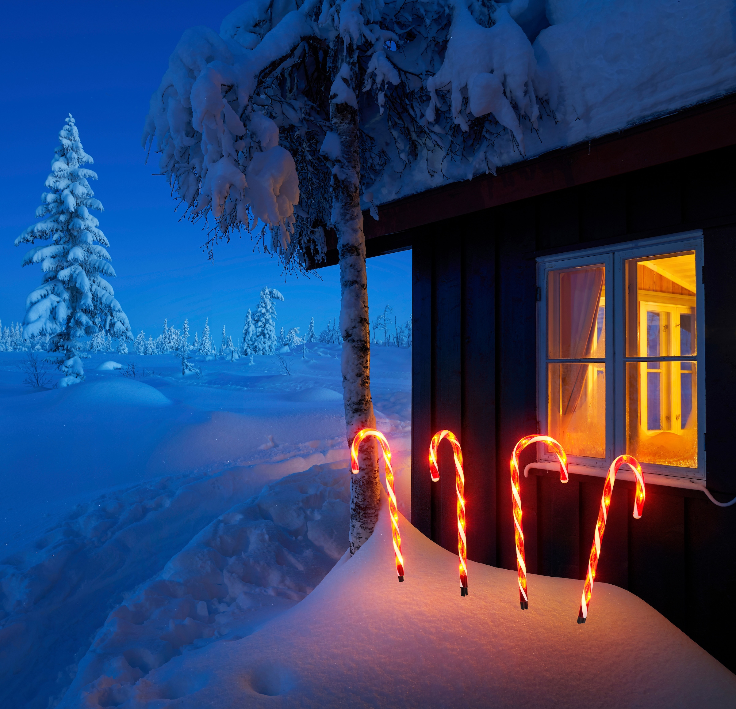 IC Winterworld LED Gartenleuchte »Weihnachtsdeko rot«, Gartenstecker, Zuckerstangen-Design, mit Timerfunktion