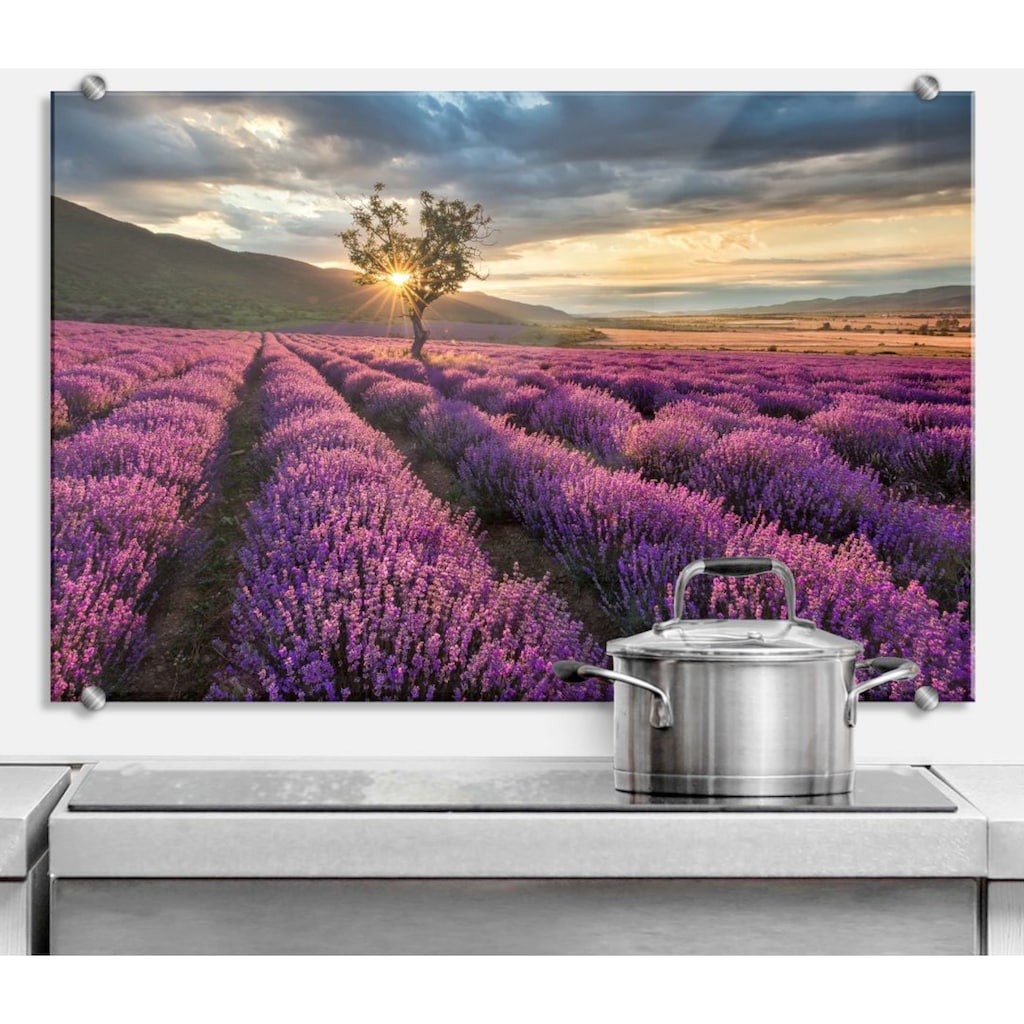 Wall-Art Küchenrückwand »Lavendel Blumen in der Provence«, (1 tlg.)