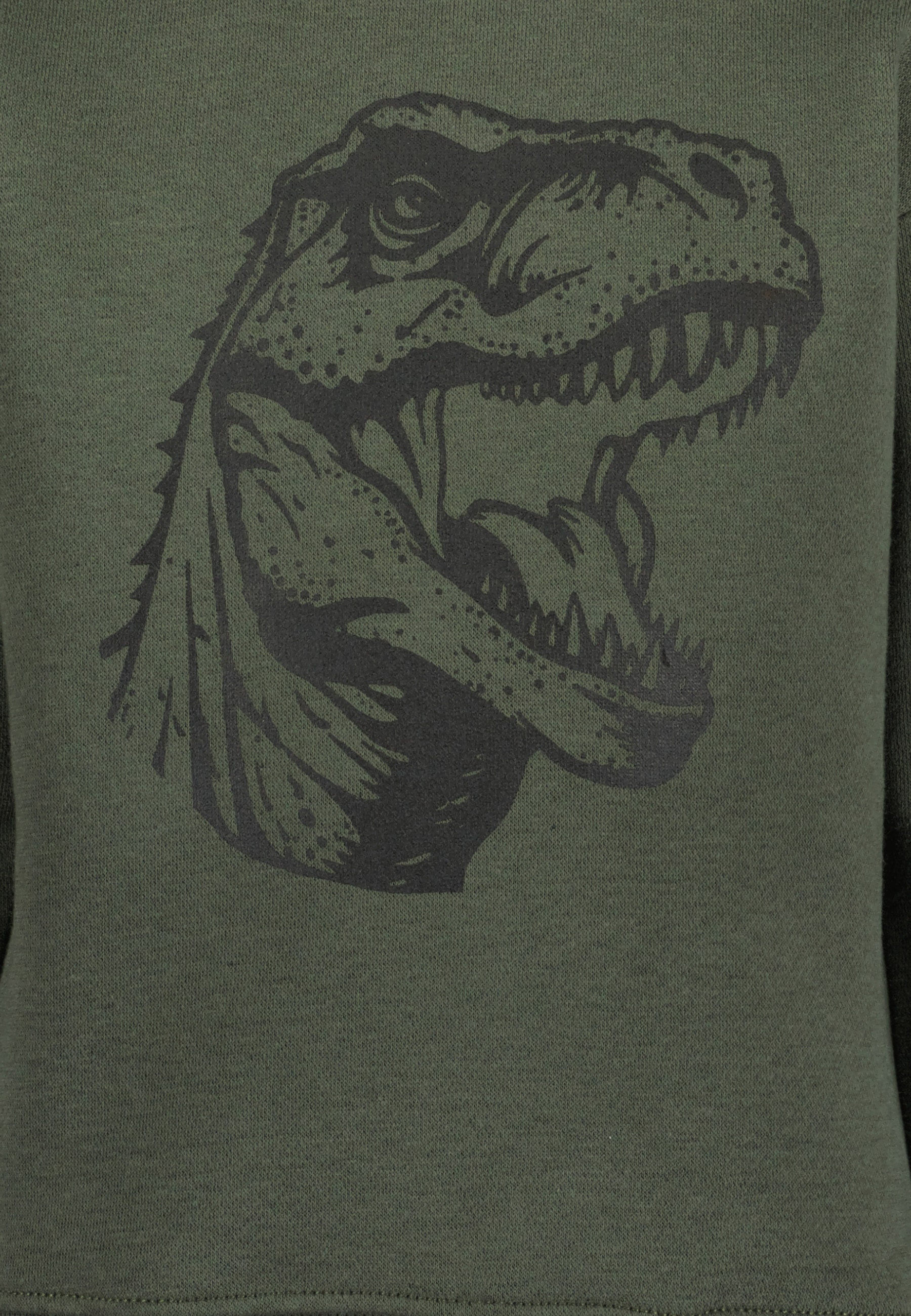 Blue Seven Sweatshirt , mit großem Dino-Frontmotiv
