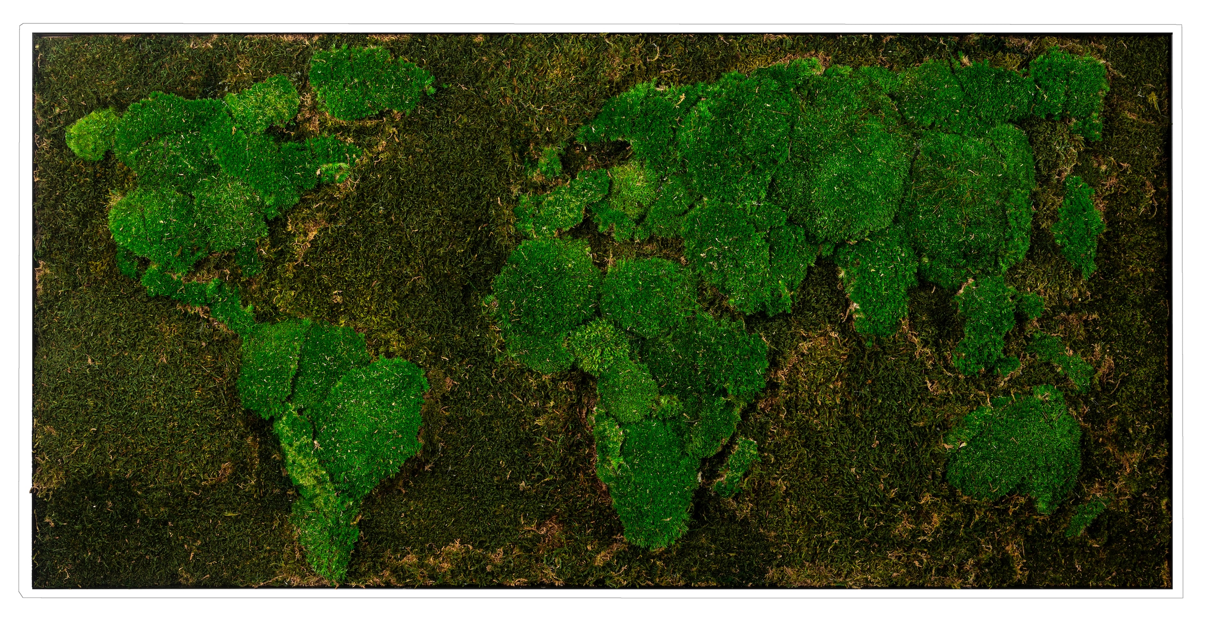Bönninghoff Bild mit Rahmen »Moos«, Weltkarte, (1 St.), jedes Bild ein  Unikat, BxH: 120x60 cm auf Rechnung kaufen | Poster