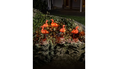 Raten Acryl 40 Flamingos, Weihnachtsfigur, auf bernsteinfarbene LED KONSTSMIDE 5er-Set, Dioden kaufen