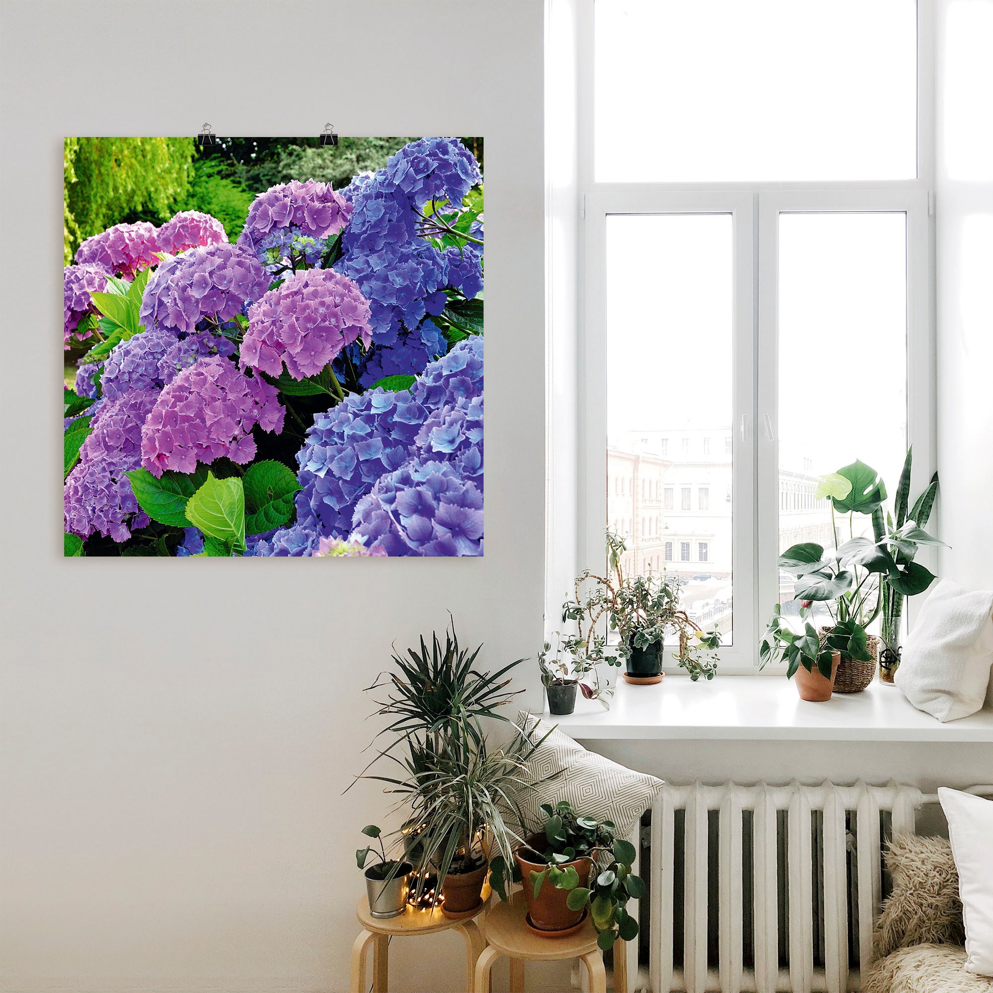 Artland Wandbild in auf (1 kaufen Wandaufkleber St.), Blumen, »Hortensien Poster Alubild, Leinwandbild, versch. Garten«, oder Größen Raten im als