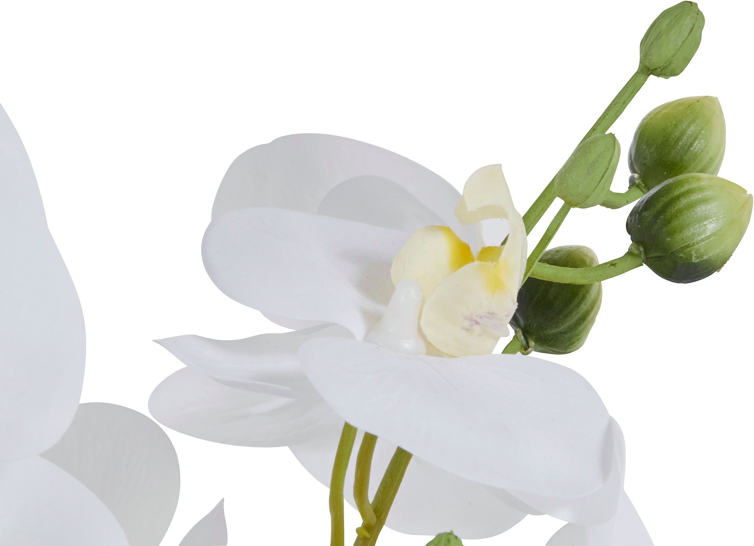 Leonique Kunstpflanze »Orchidee«, Kunstorchidee, im Topf, Bestseller, über 2500 4,5-Sterne-Bewertungen