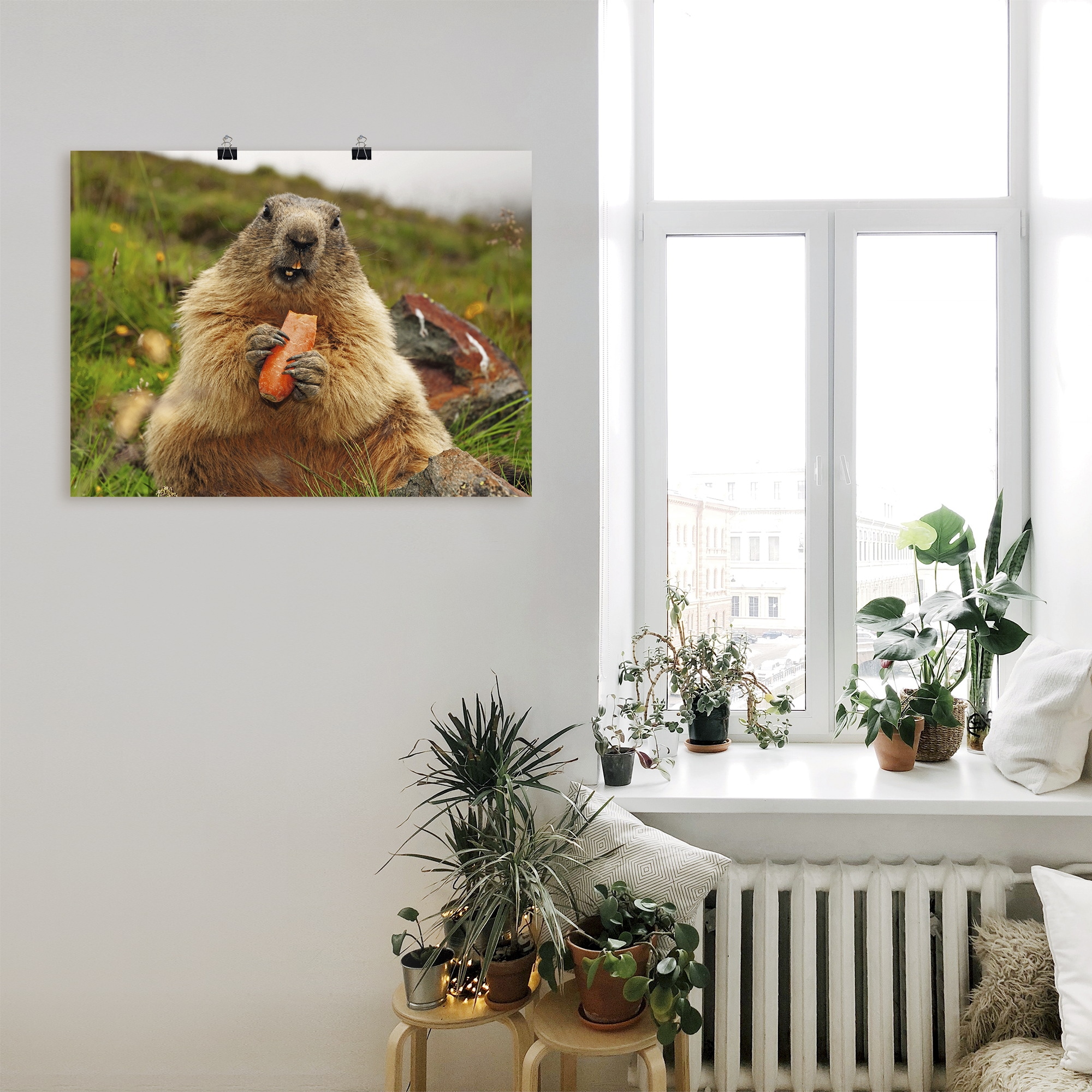 Artland Wandbild »Murmeltier«, Wildtiere, (1 St.), als Leinwandbild, Poster in verschied. Größen