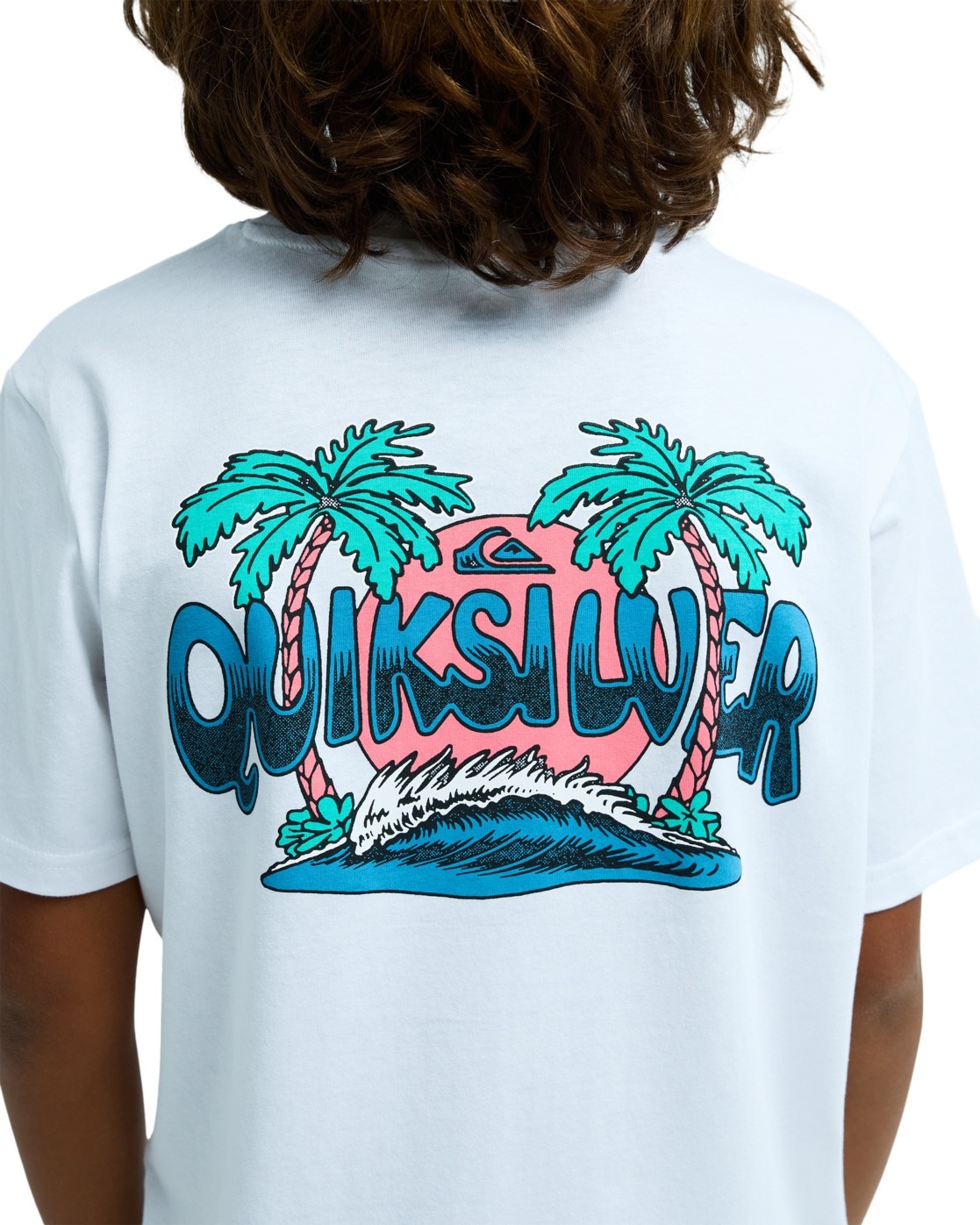 Quiksilver T-Shirt »Palm Horizon«
