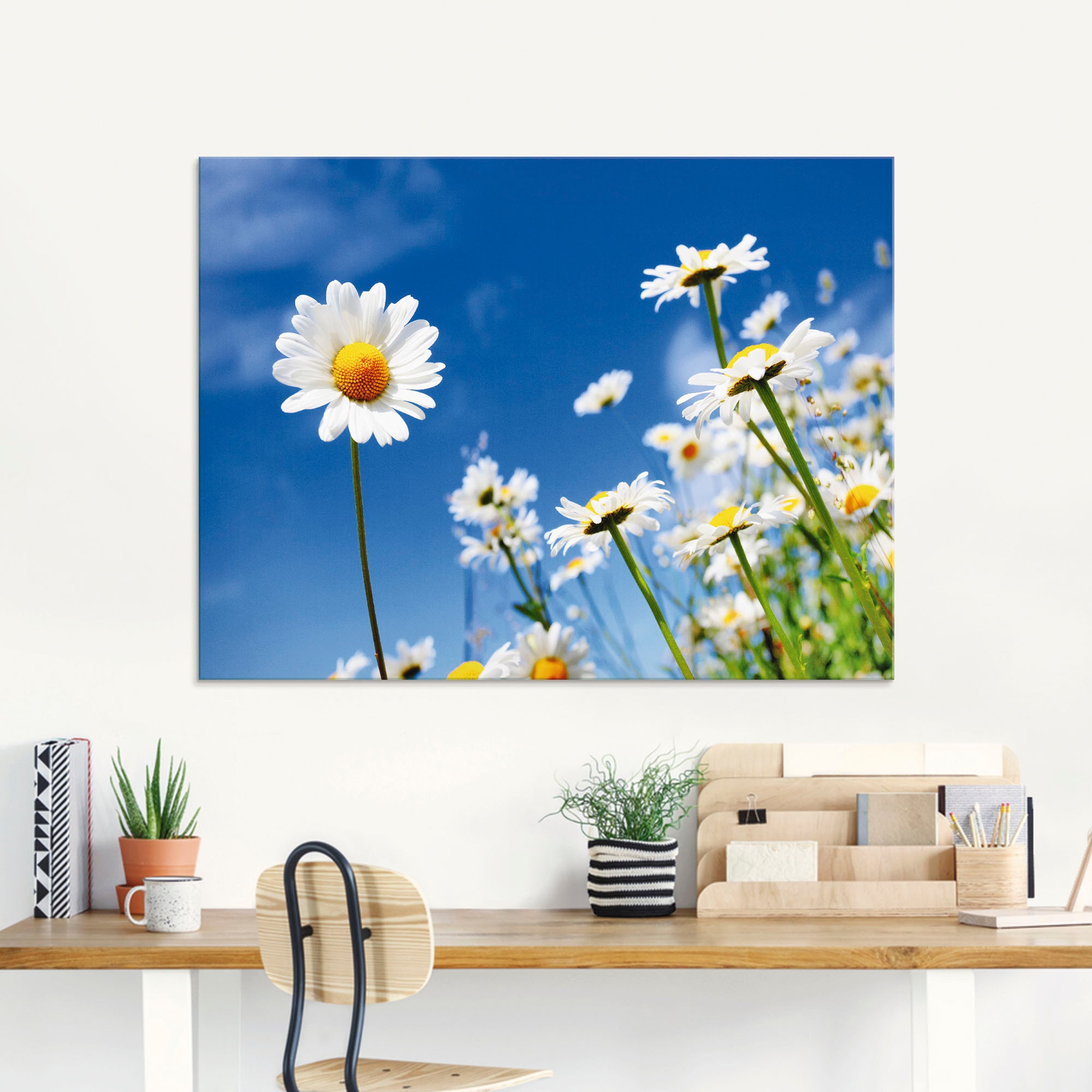 Artland Glasbild »Gänseblümchen« Blumenwiese 1 Stk. tlg. in verschiedenen Größen