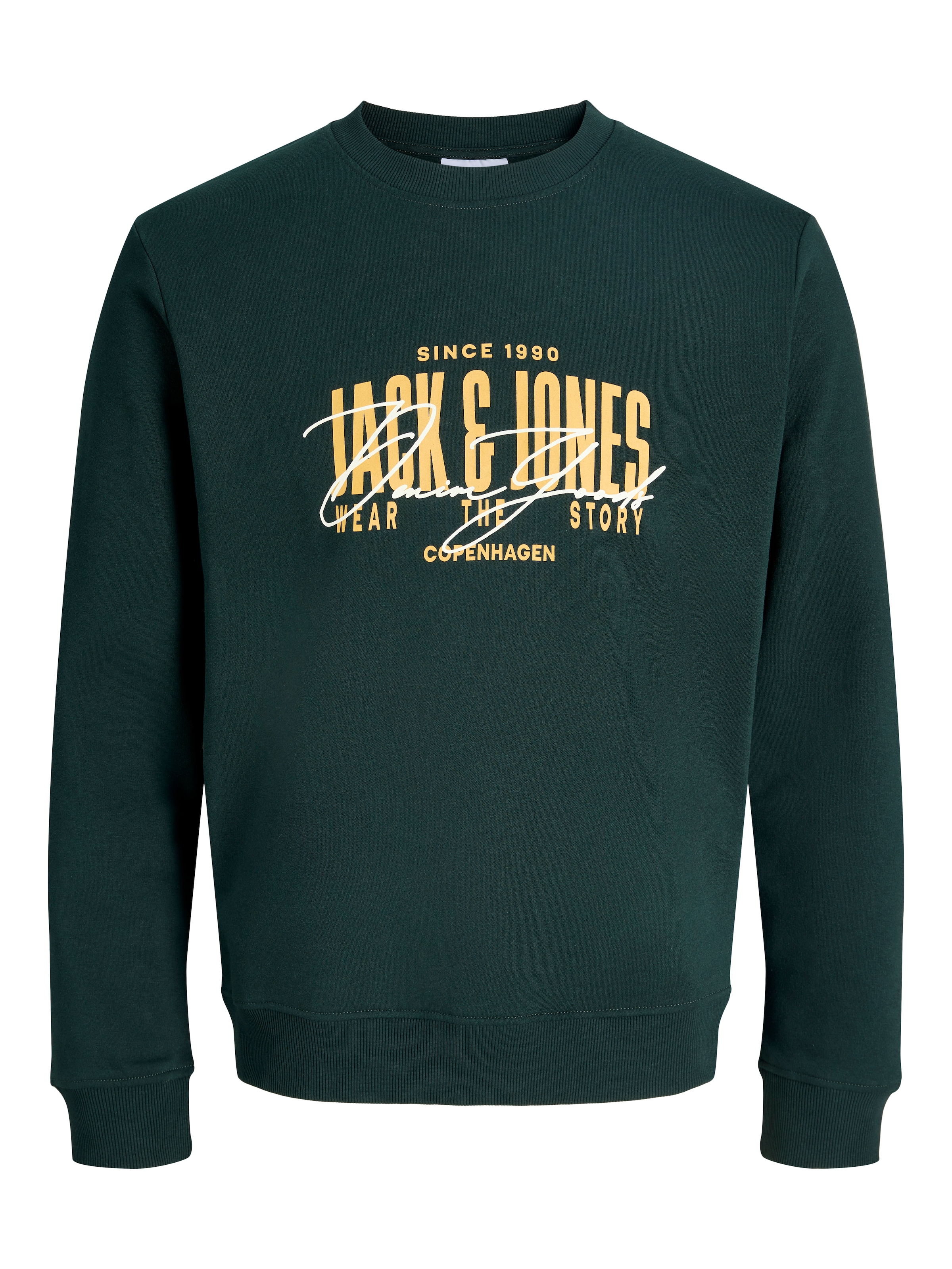Jack & Jones PlusSize Sweatshirt »JJAERO SWEAT CREW NECK PLS«, Baumwollmischung, regular fit
