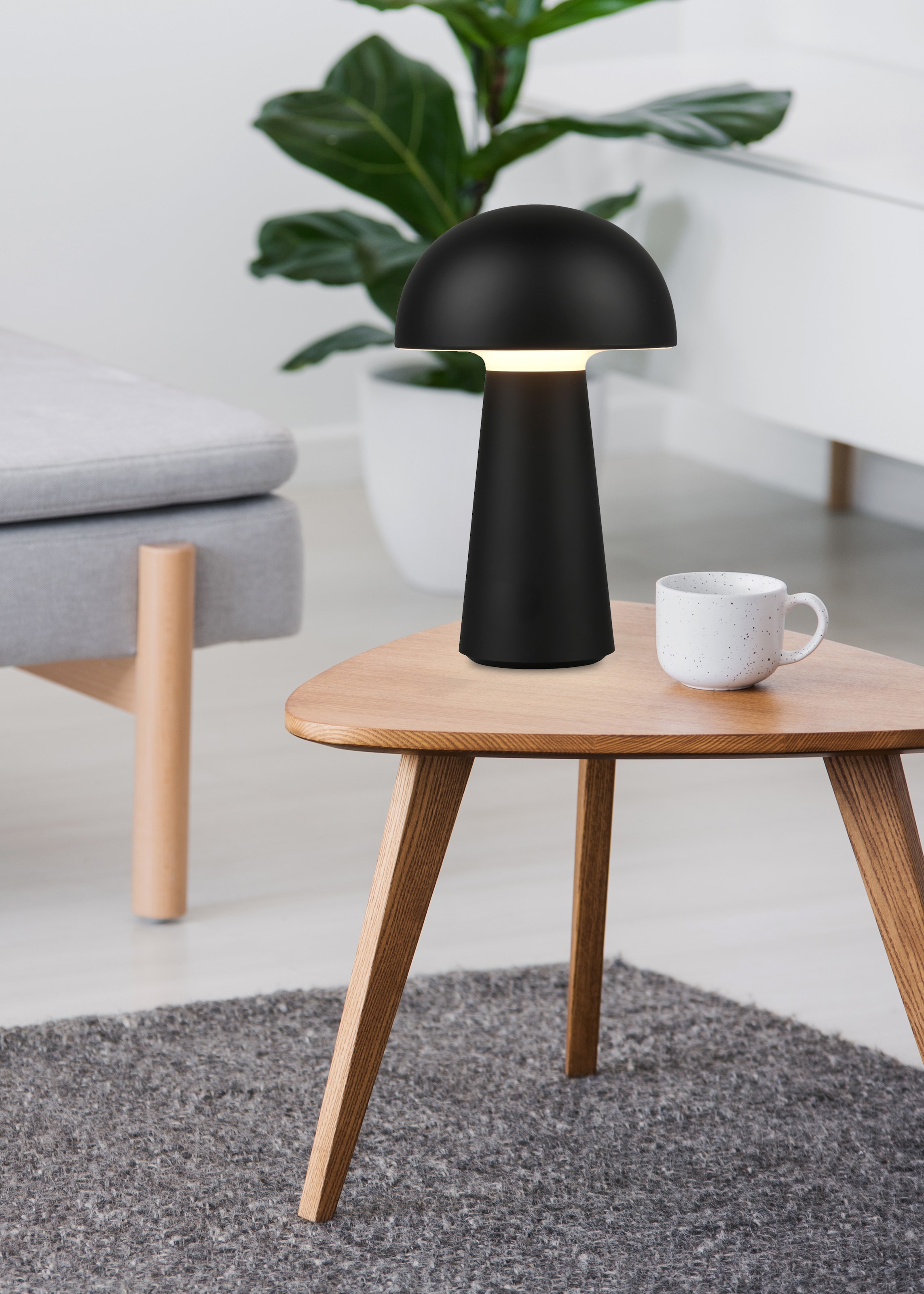 REALITY Leuchten LED Außen-Tischleuchte »Lennon«, 2-er Set, Schutzart IP44, LED fest integriert, 4-fach Touchdimmer, Ladefunktion per USB-C