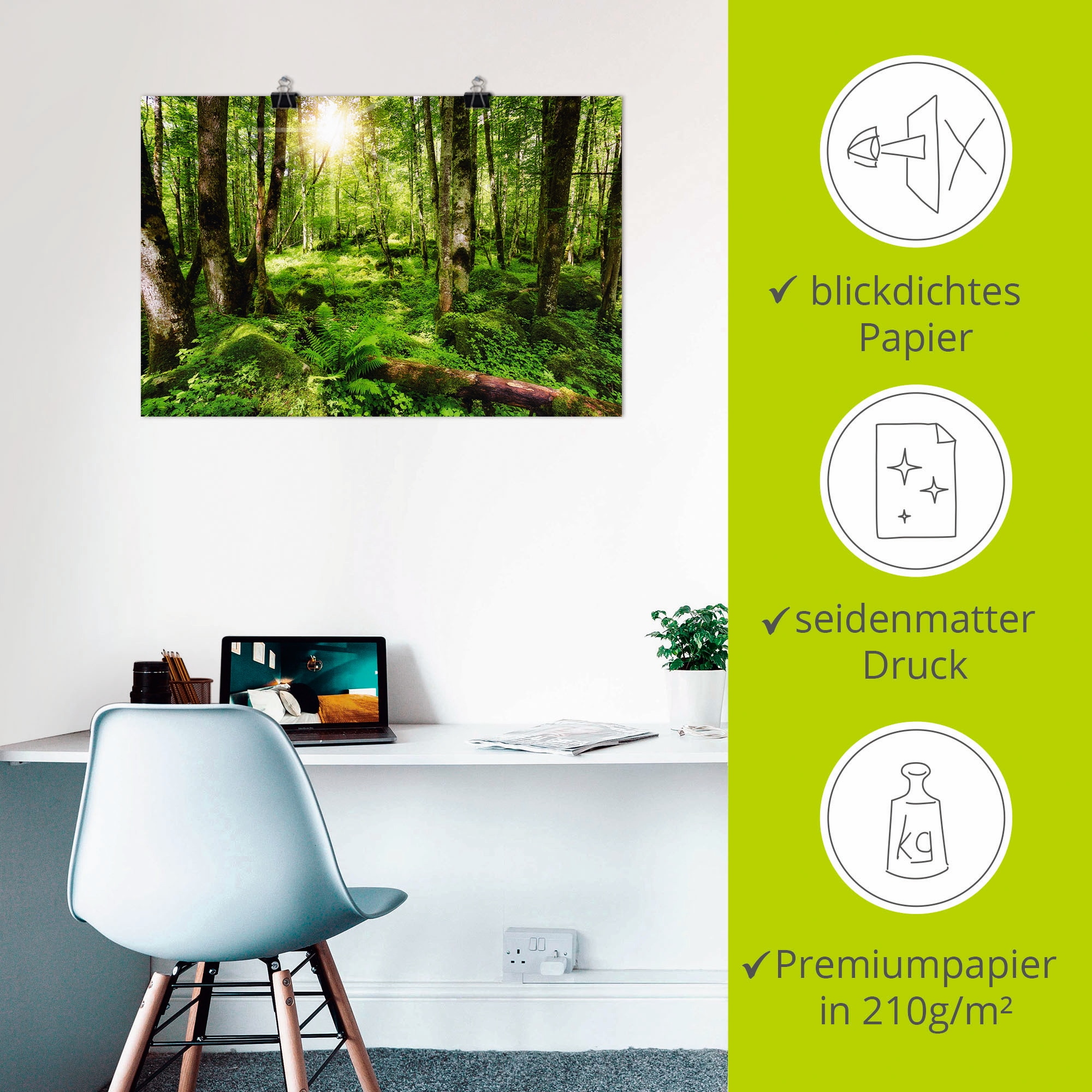 Artland Wandbild »Wald« Wald 1 Stk. tlg. als Leinwandbild, Poster, Wandaufkleber in verschied. Größen