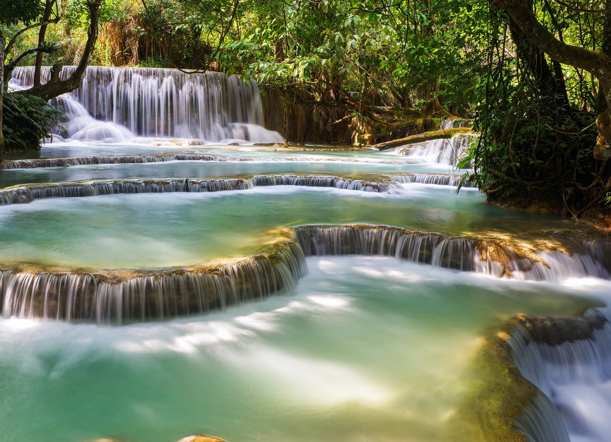 Papermoon Fototapete »Forest Waterfall Laos«