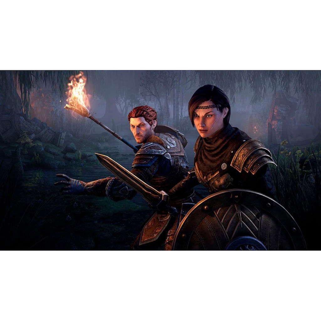 Bethesda Spielesoftware »The Elder Scrolls Online Collection: Blackwood«, PlayStation 4