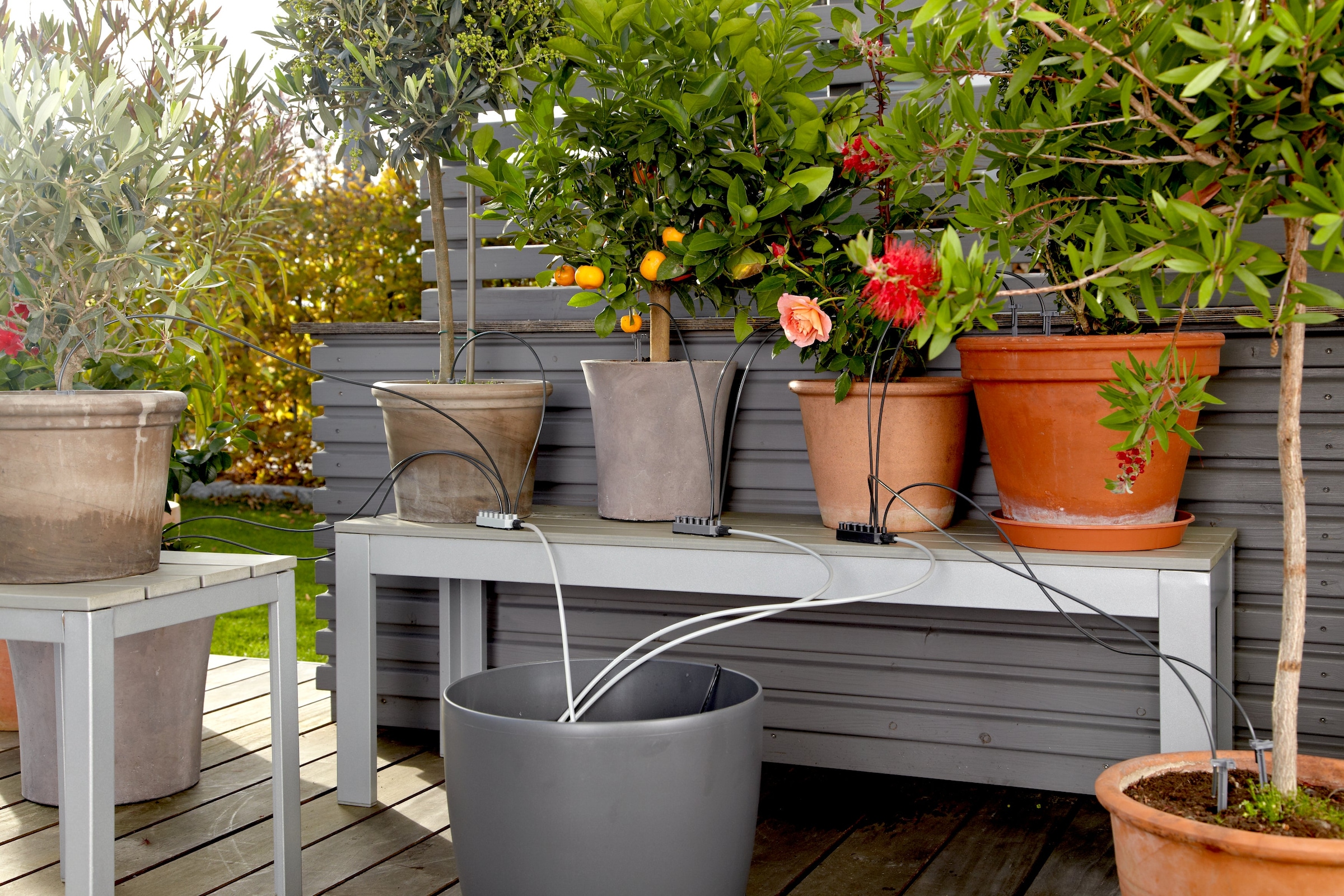 GARDENA Bewässerungssystem »Urlaubsbewässerung Set« ()  Automatische Bewässerung von bis zu 36 Zimmerpflanzen