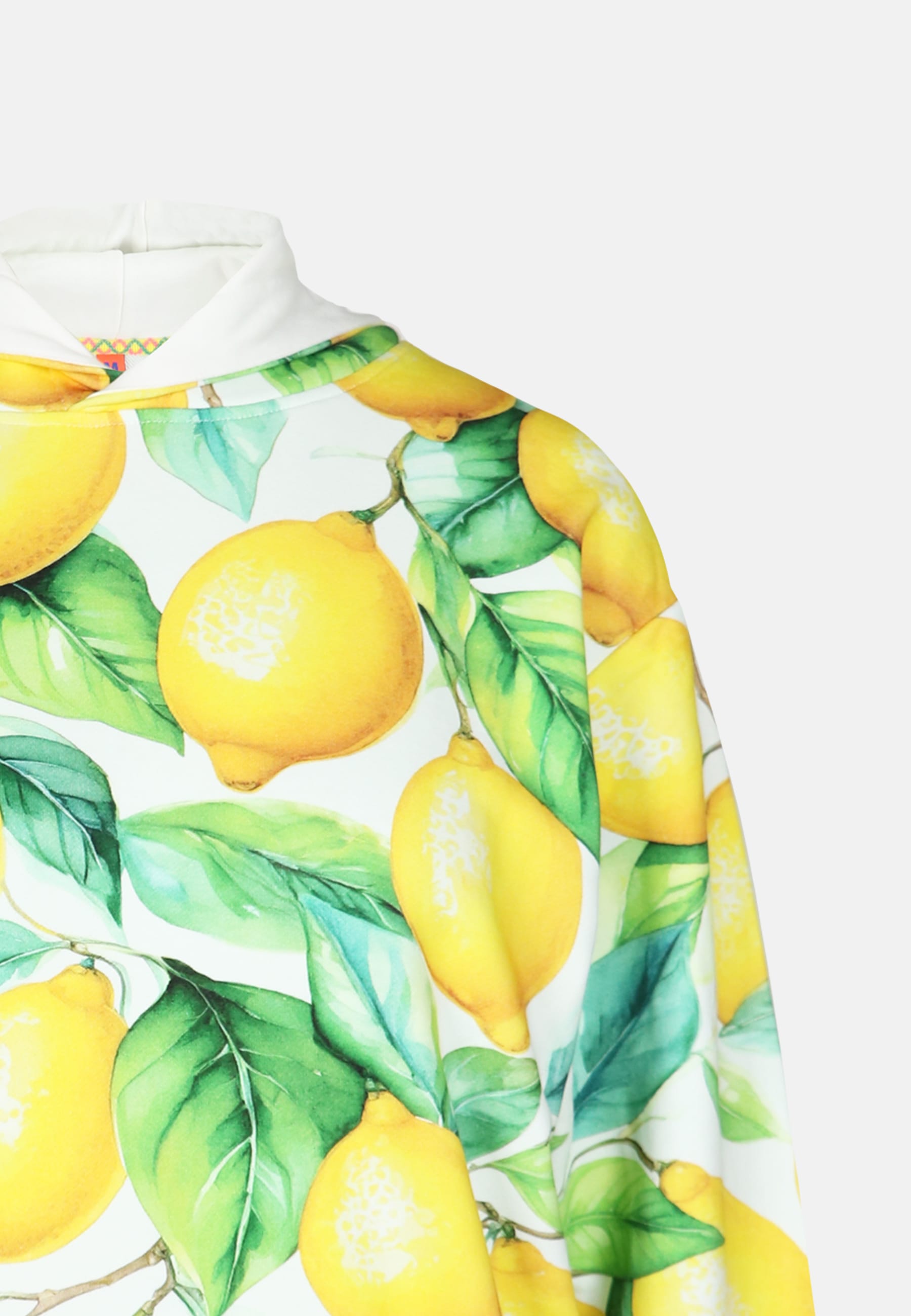 salzhaut Kapuzenpullover »Hoodie BARCH«