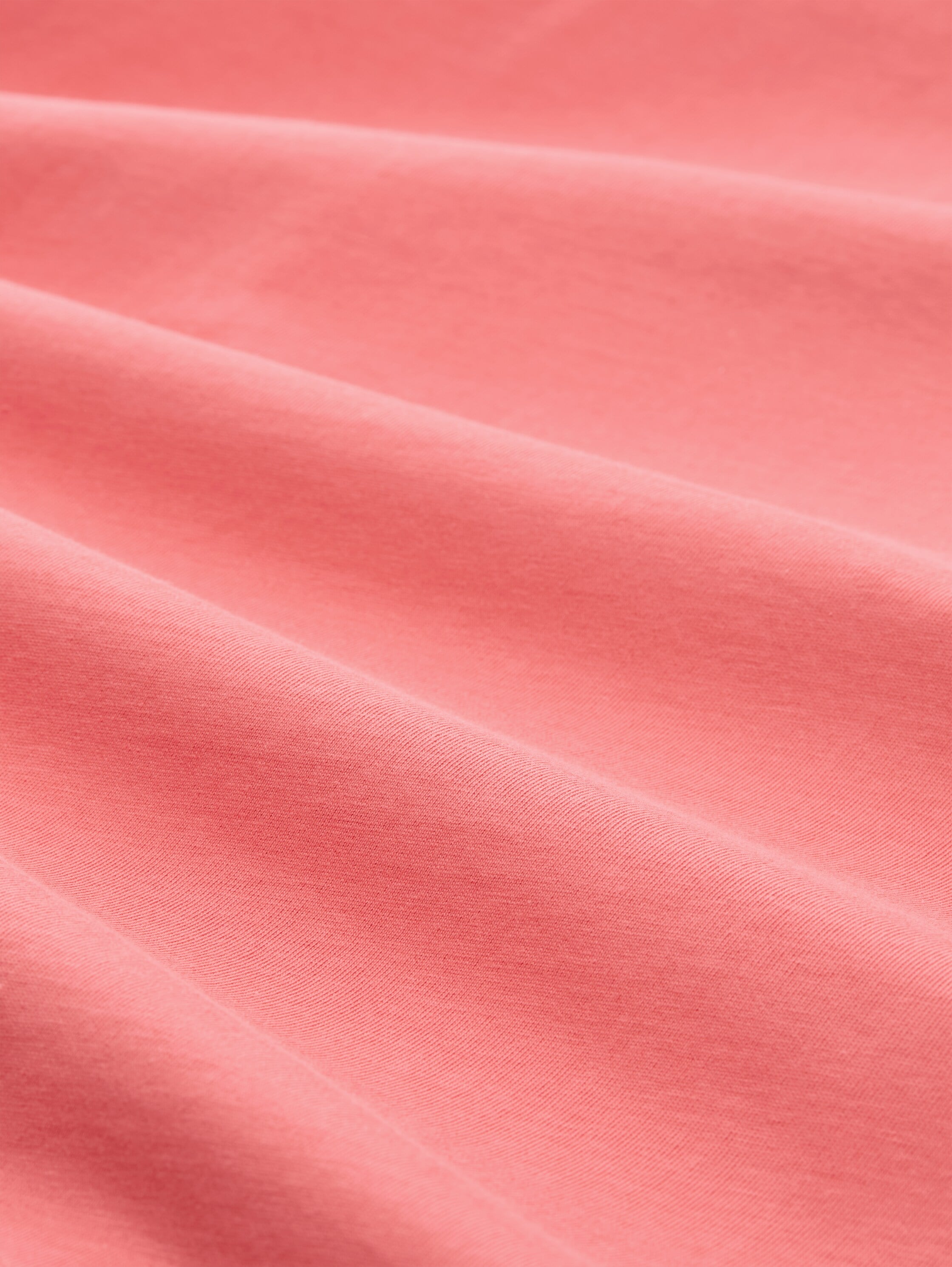 TOM TAILOR T-Shirt mit Print