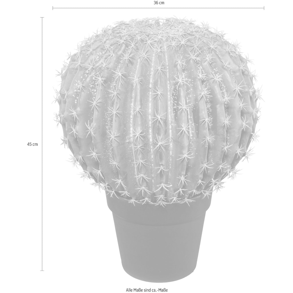 Creativ green Kunstkaktus »Kugelkaktus«