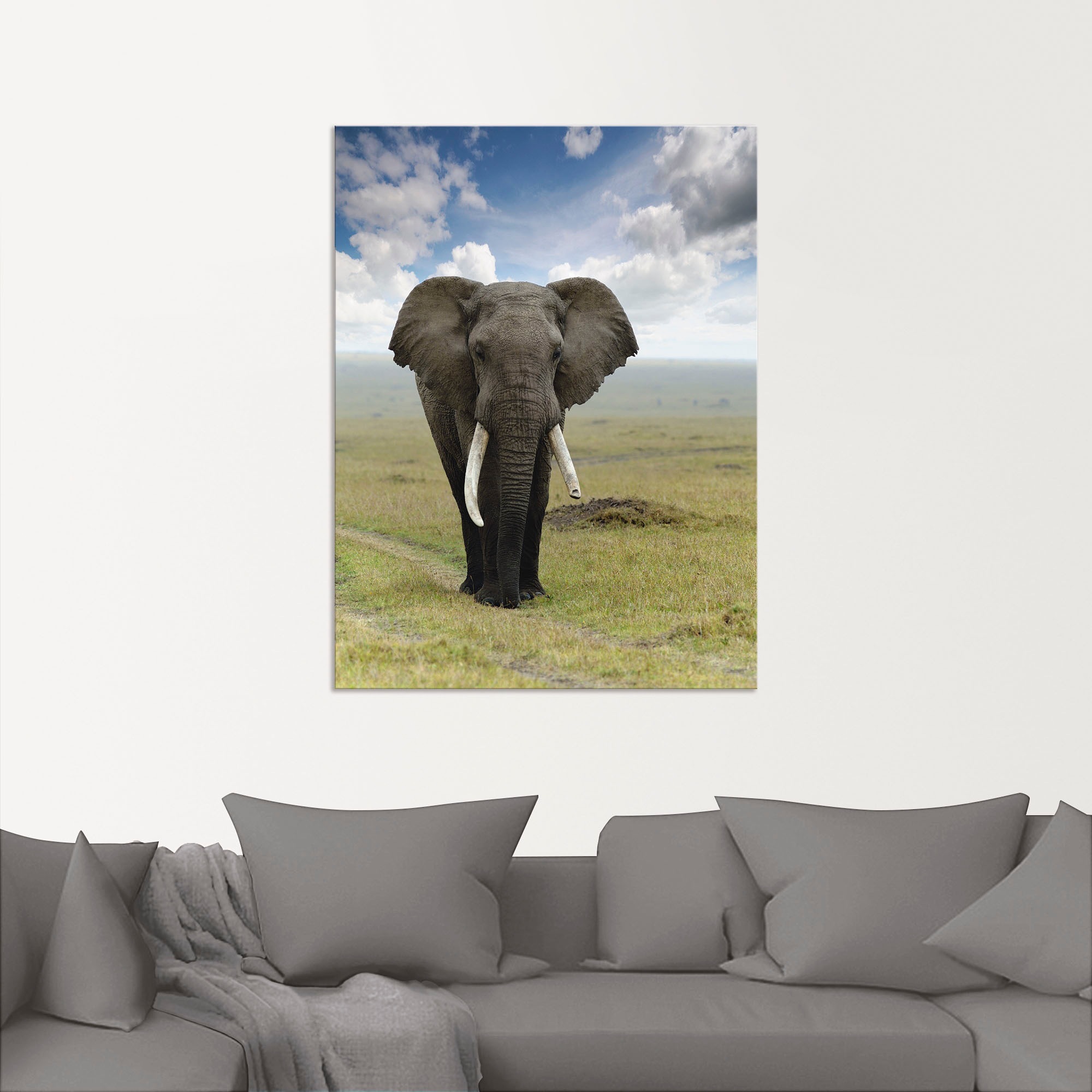 Artland Wandbild »Elefant« Wildtiere 1 Stk. tlg. als Alubild, Leinwandbild in verschied. Größen