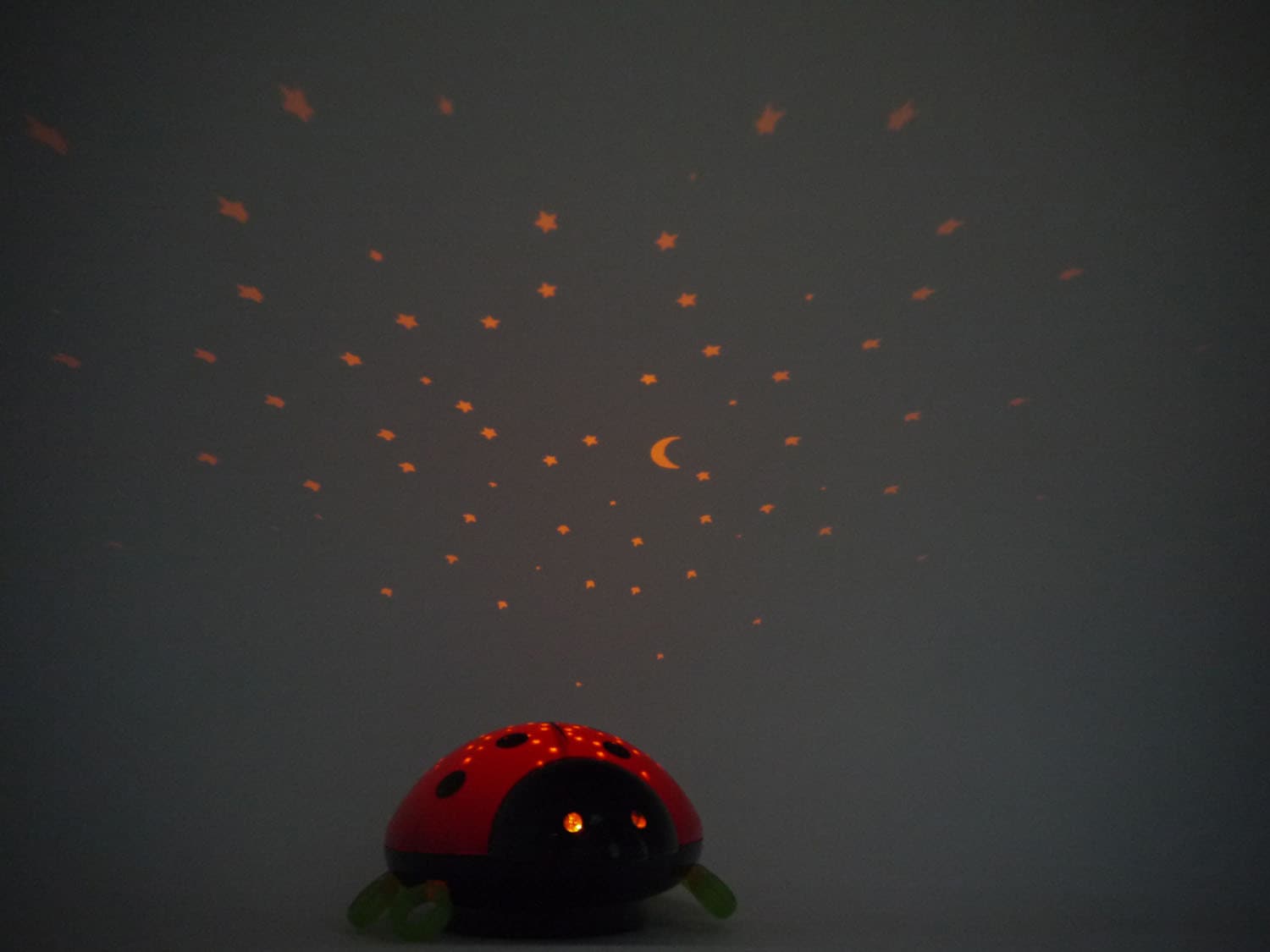 niermann LED Nachtlicht »Beetlestar«, 1 flammig-flammig, Nachtlicht Beetlestar
