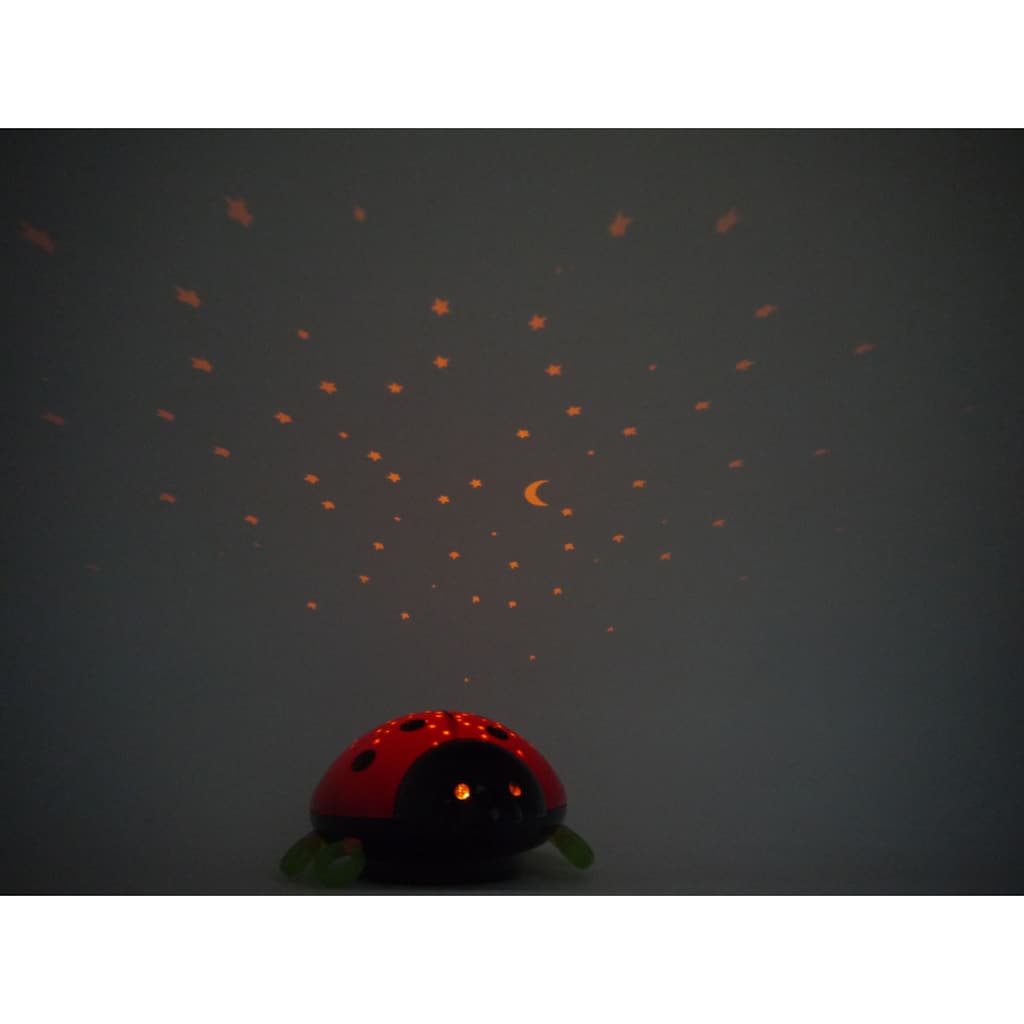 niermann LED Nachtlicht »Beetlestar«, 1 flammig-flammig