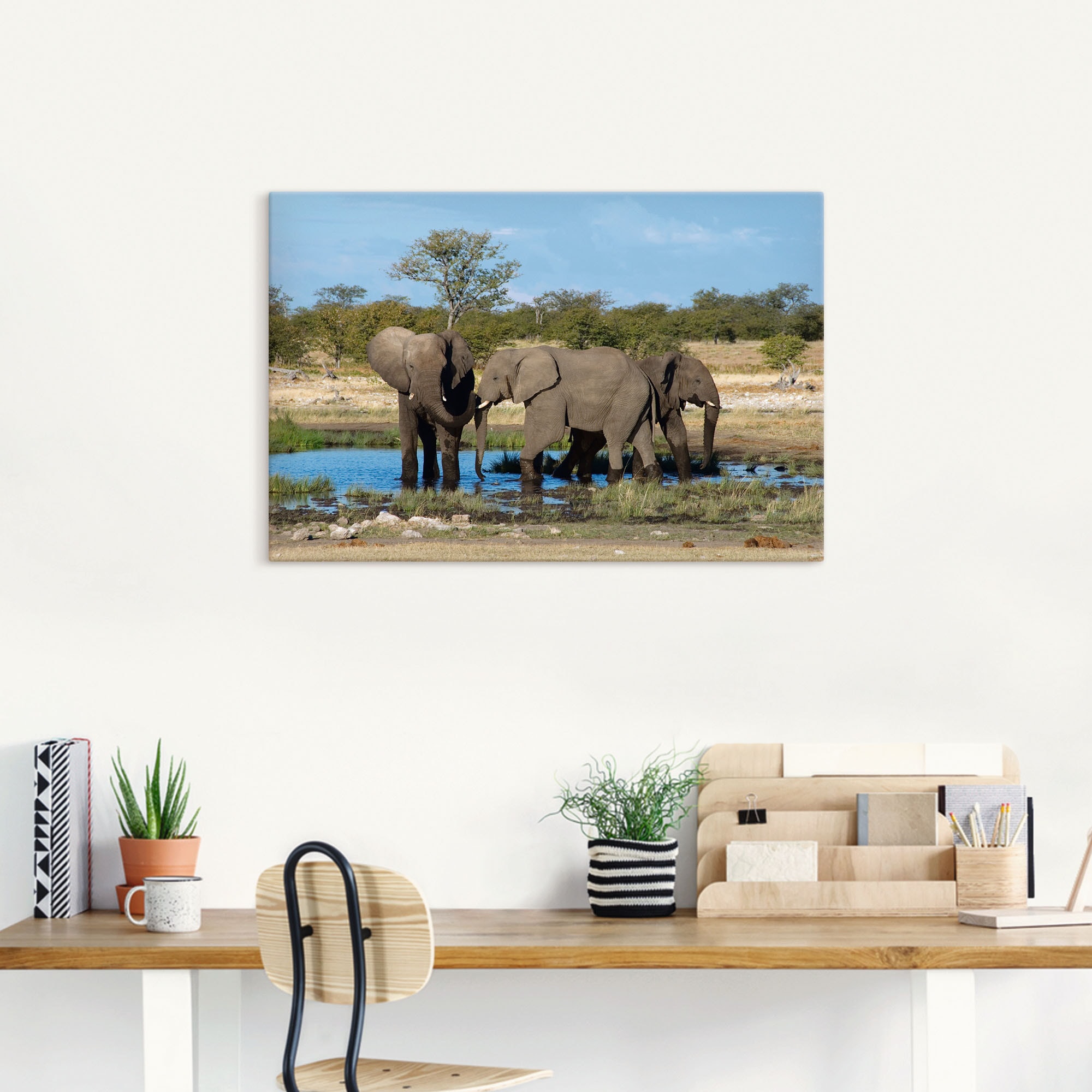 Artland Wandbild Elefant versch. kaufen bequem Wandaufkleber als (1 »Afrikanischer Elefanten oder Bilder, in EtoshaNationalpark«, Poster Alubild, Leinwandbild, St.), Größen
