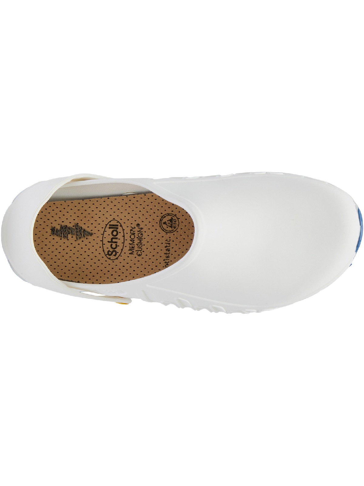 Scholl Clog »Evoflex«