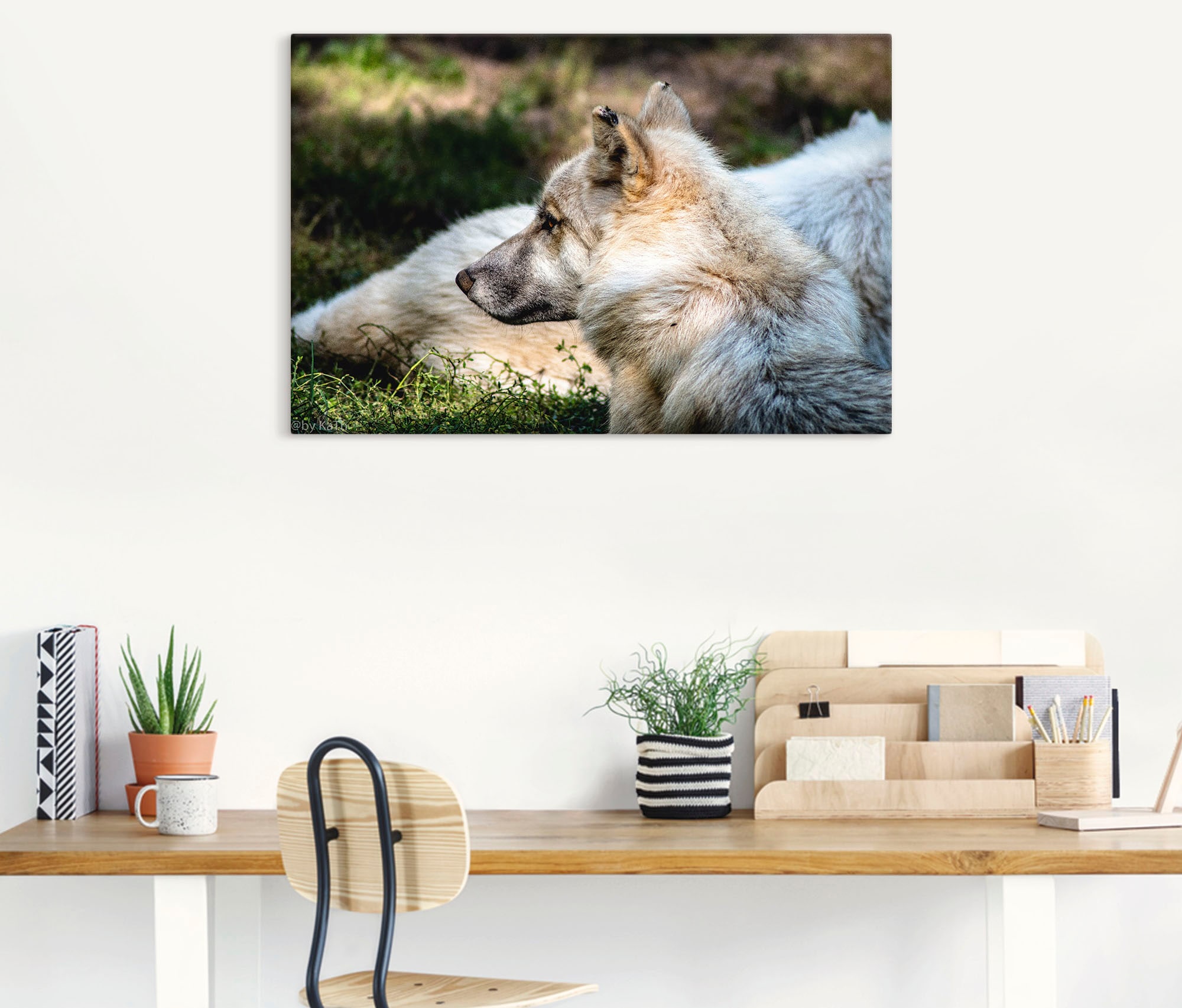 Artland Wandbild »Blick in die Ferne«, Wolfbilder, (1 St.), als Alubild, Leinwandbild, Wandaufkleber oder Poster in versch. Größen