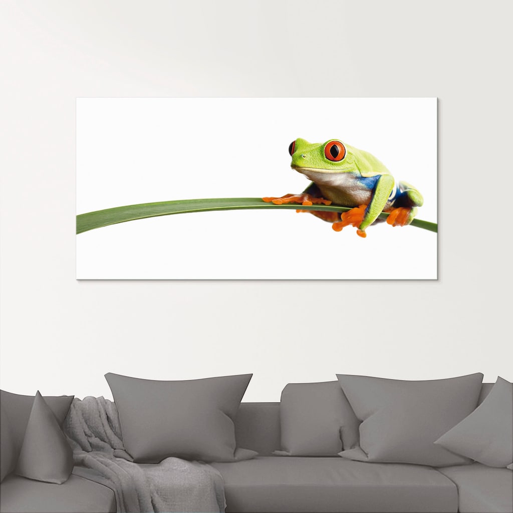 Artland Glasbild »Frosch auf einem Blatt«, Wassertiere, (1 St.)
