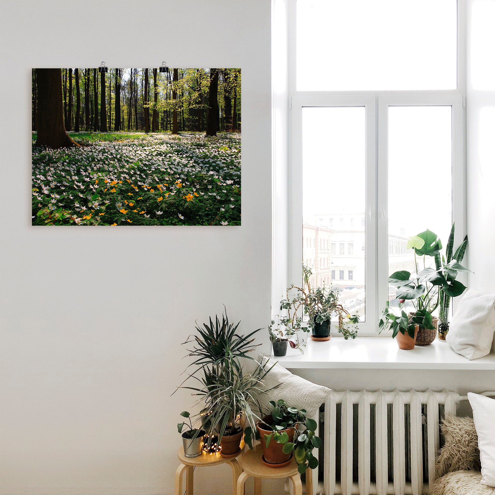 Artland Wandbild »Frühlingswald bedeckt mit Windröschen«, Wald, (1 St.), als Leinwandbild, Poster in verschied. Größen
