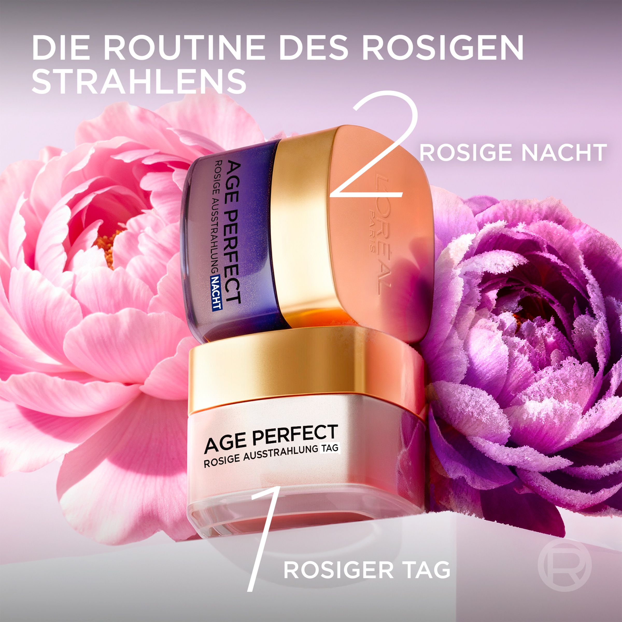 L'ORÉAL PARIS Feuchtigkeitscreme »AGE PERFECT GOLDEN AGE ROSÉ-NACHTPFLEGE« mit Neo-Calcium