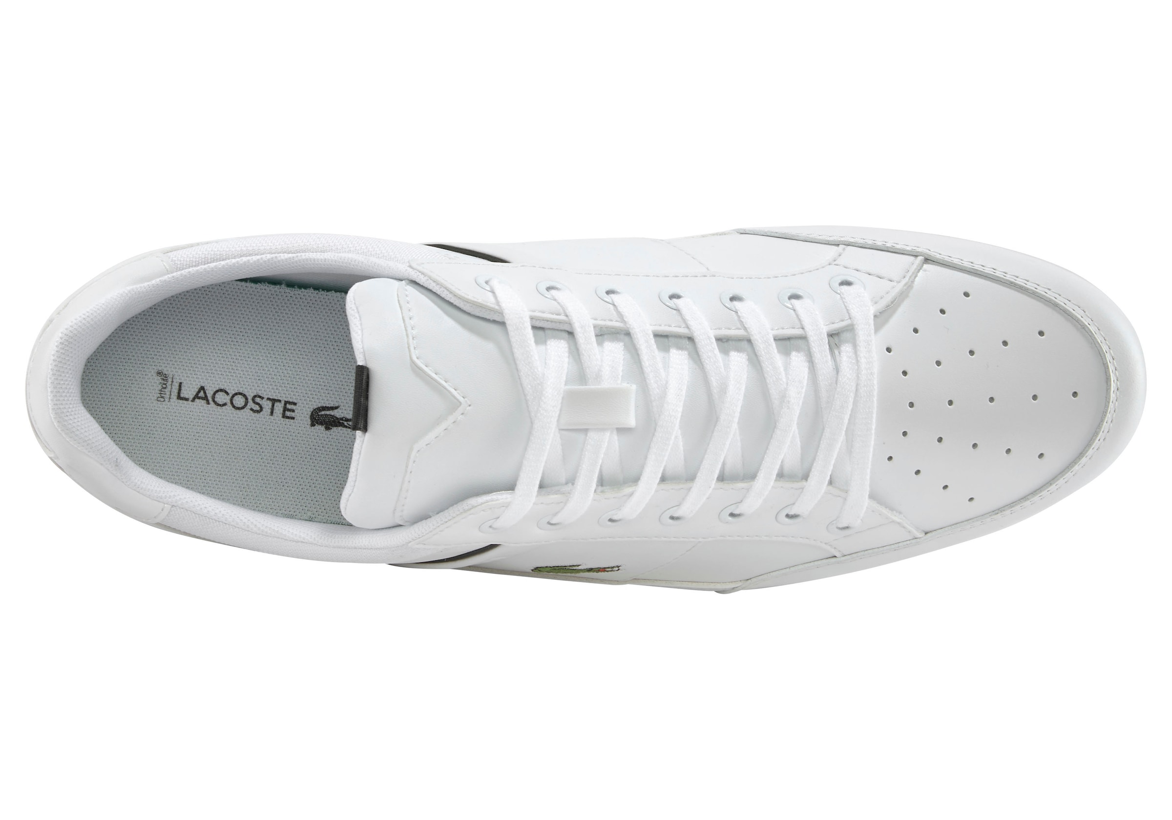 Lacoste Sneaker »CHAYMON 0121 1 CMA«