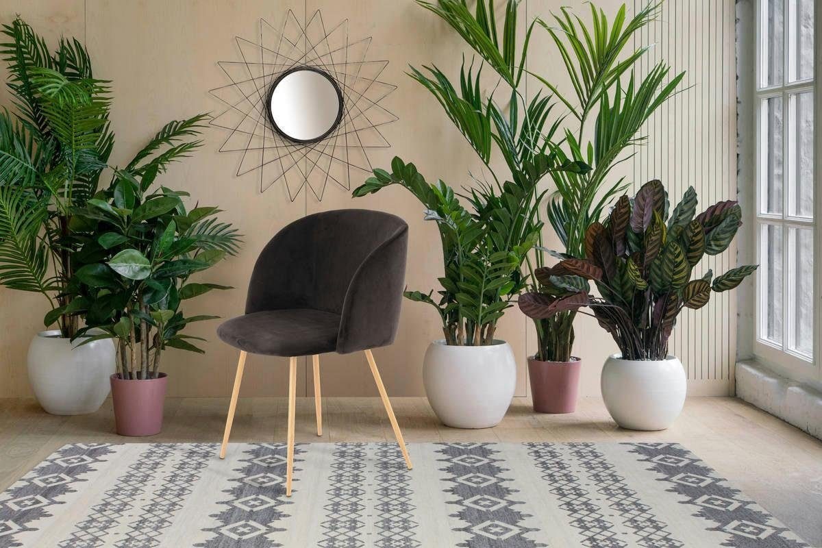 Kayoom Polsterstuhl »Stuhl Celina 110 2er-Set Grau,samtweicher Bezug in moderner Farbgebung« (Set) 2 Stk.samtweicher Bezug, bequem, zeitlos, Hingucker in jedem Wohnbereich