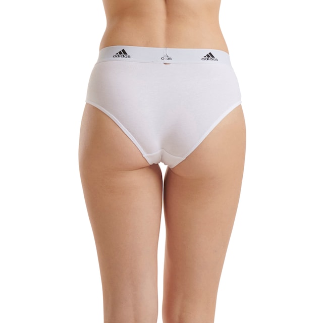 adidas Sportswear Bikinislip, (3er-Pack), Slip mit elastischem Logoband bei  ♕