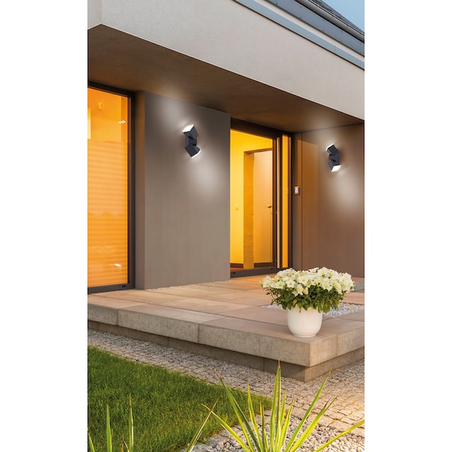 Paul Neuhaus LED Außen-Wandleuchte »Ryan«, 2 flammig-flammig, Schutzart IP,  Für Außen- und Innenbereich online kaufen | mit 3 Jahren XXL Garantie