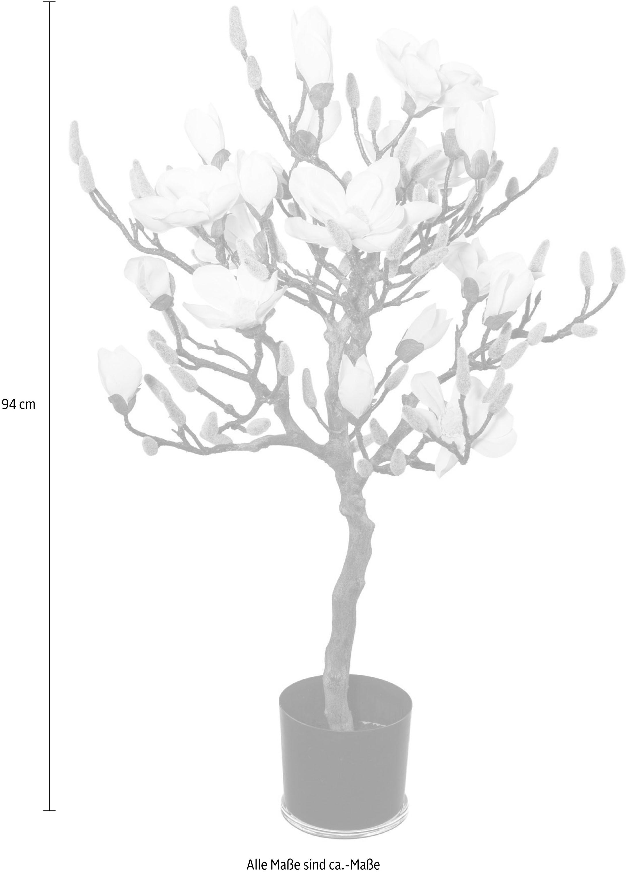 Creativ green Kunstpflanze »Magnolienbaum« online 3 XXL Garantie | kaufen Jahren mit