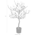 Creativ green Kunstpflanze »Magnolienbaum«, (1 St.)