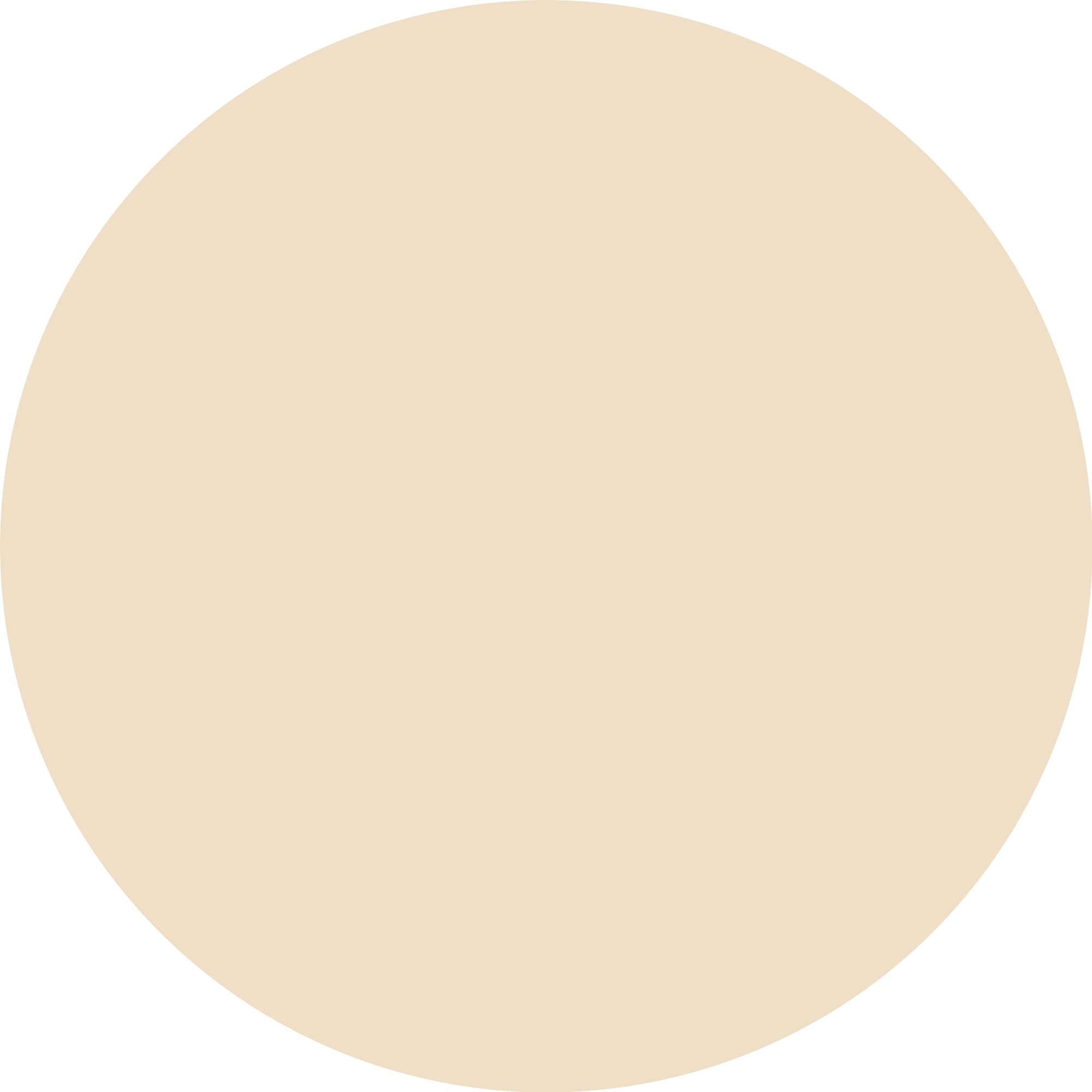 Catrice Puder »Soft Blur Matte Airbrush Powder«