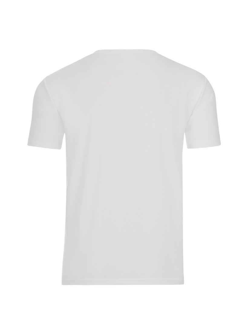 Trigema T-Shirt »TRIGEMA V-Shirt COOLMAX®«, (1 tlg.)