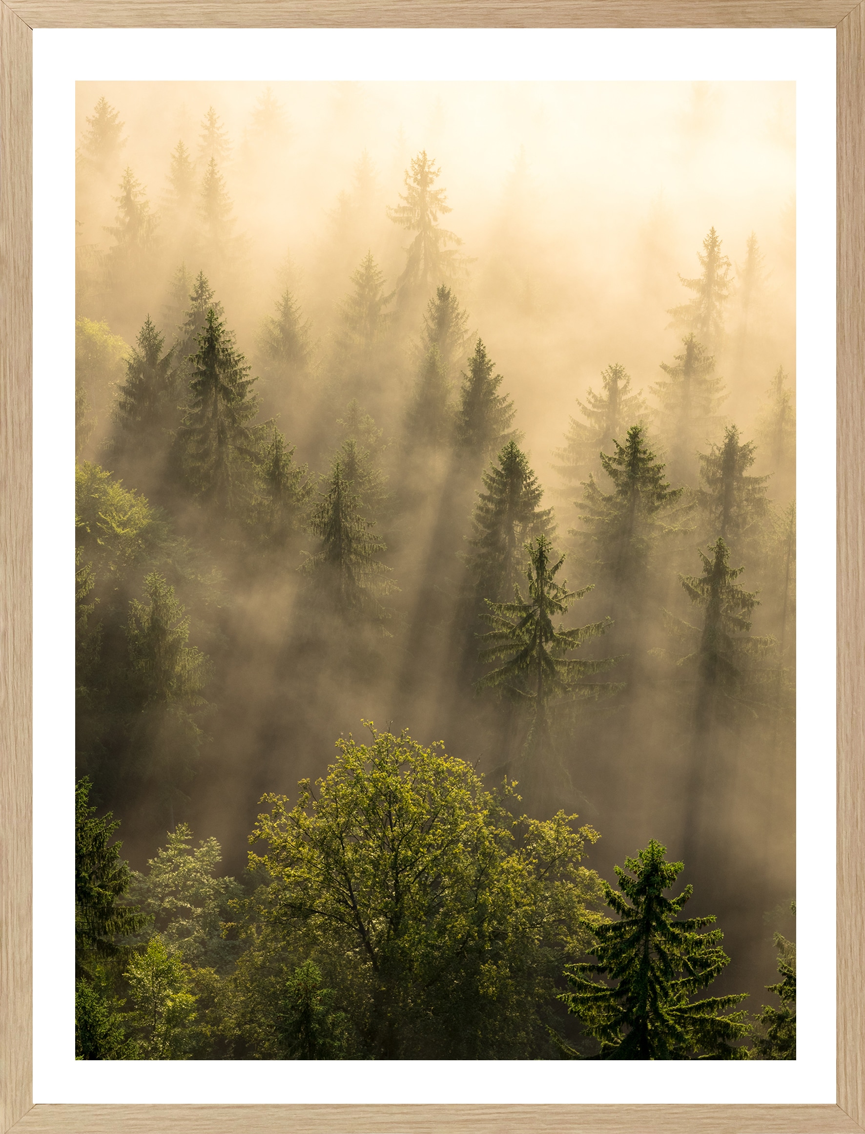 Bönninghoff Bild mit Rahmen, Wald-Waldbilder-Landschaft-Natur-mystischer Wald-Bäume-Wiesen & Bäume, (1 St.)