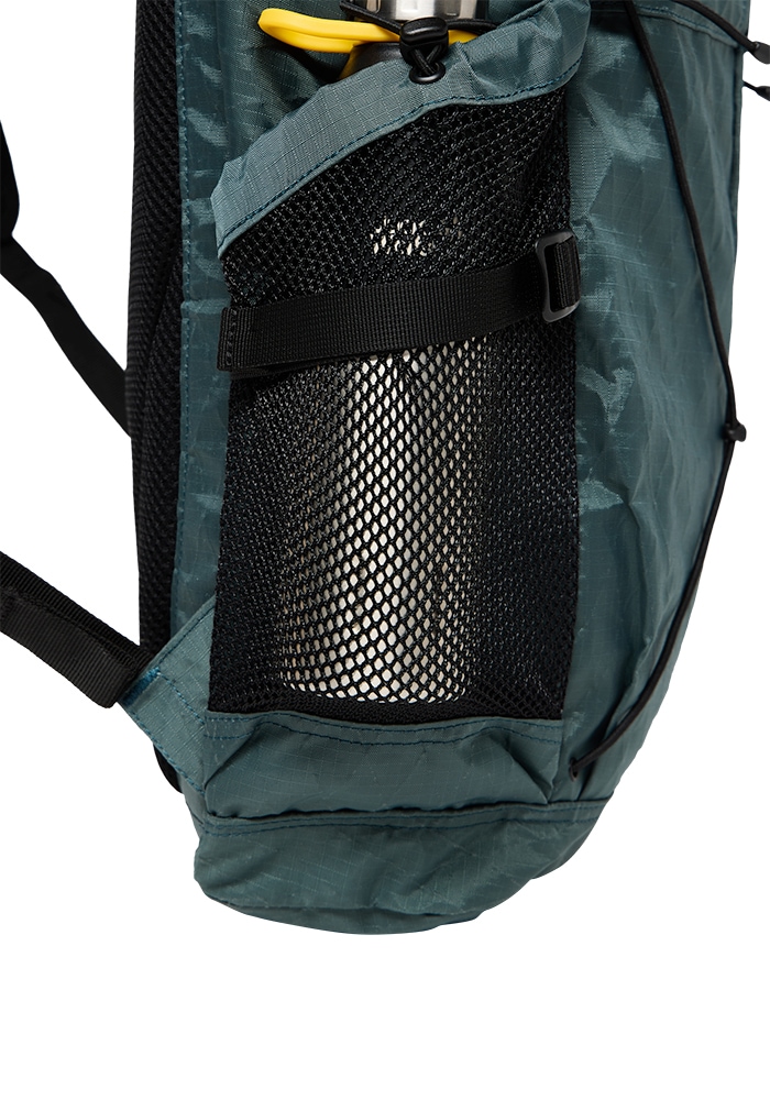 Jack Wolfskin Daypack »WANDERMOOD PACK 20«