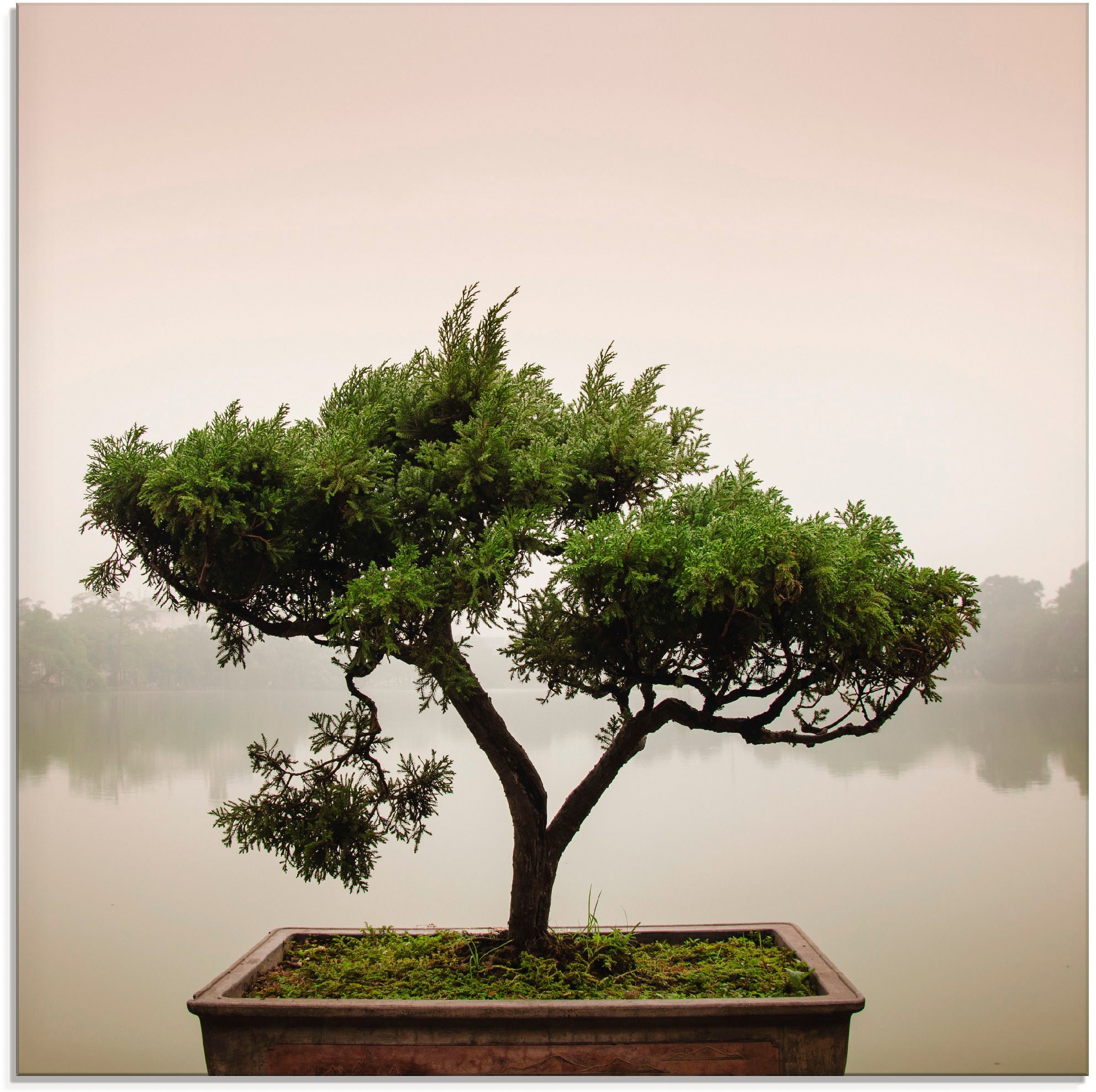 Bäume, bequem Größen Bonsaibaum«, (1 Glasbild verschiedenen St.), in »Chinesischer Artland kaufen